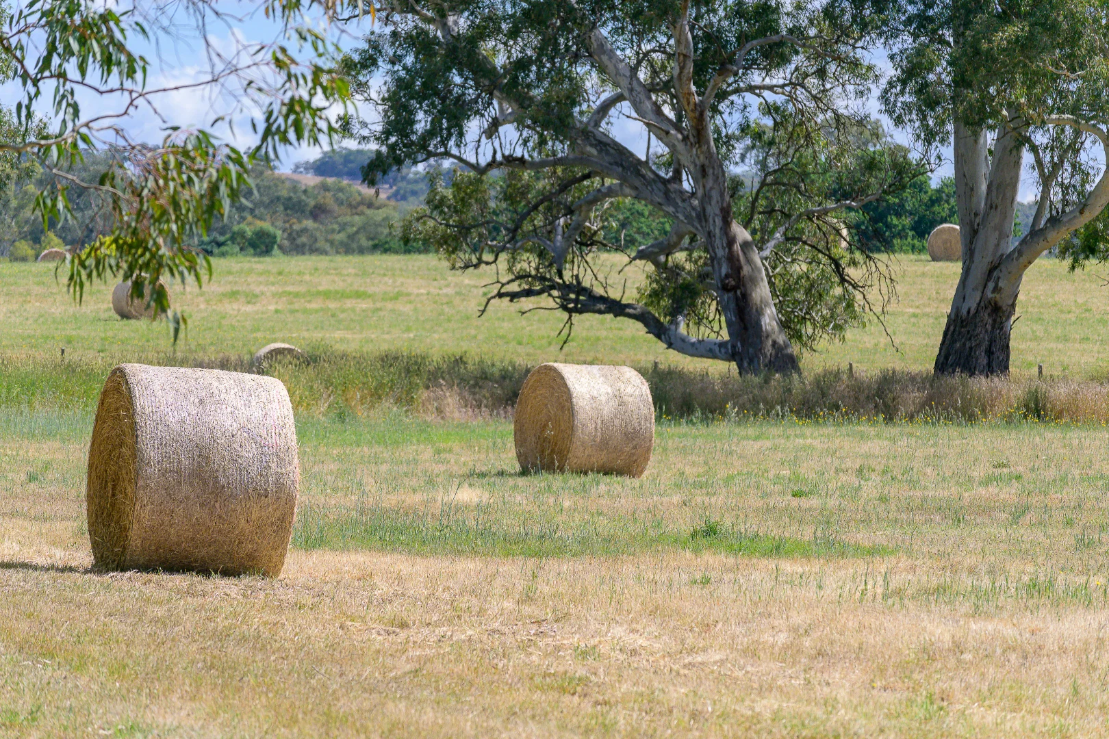 Additional image 6 of Lot 20 & 21 Newman Road, Charleston SA 5244