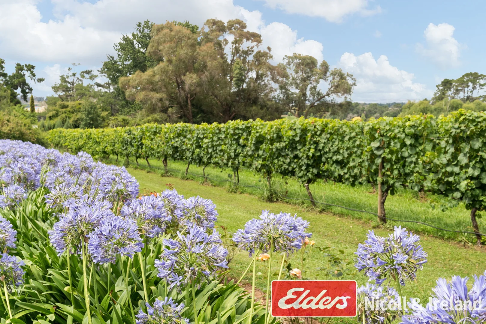 Additional image 28 of 42 Wallace Lane, Canobolas NSW 2800