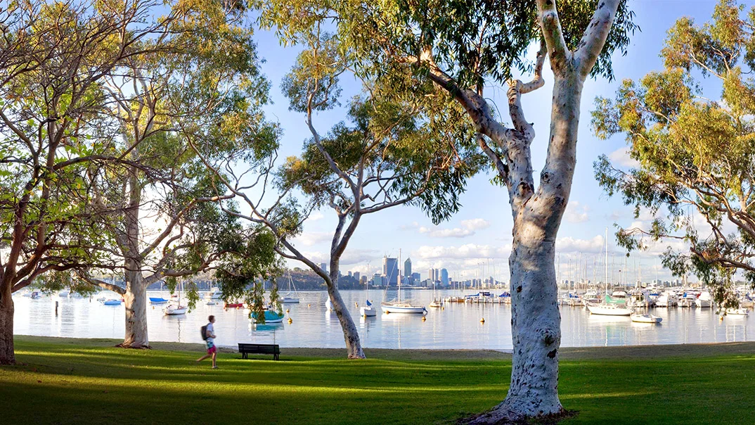 Additional image 31 of 7 School Rd, Dalkeith WA 6009