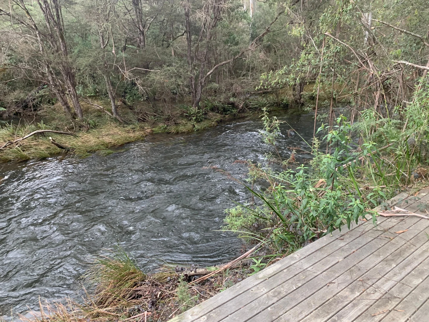 Additional image 5 of 23 Wombat Crescent, East Warburton VIC 3799