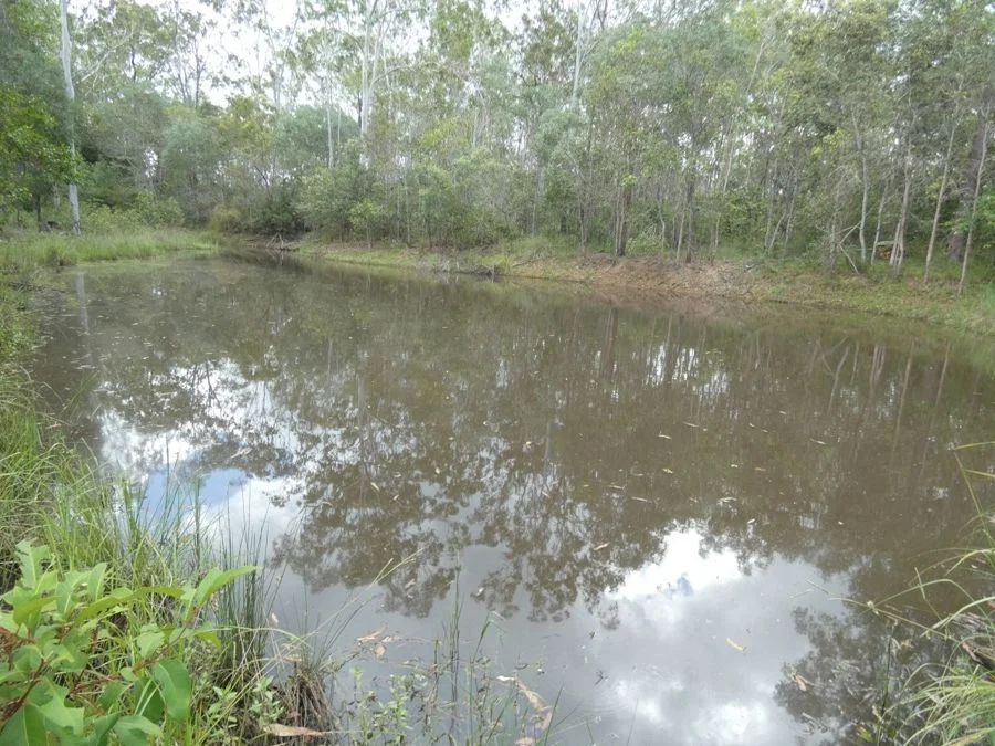 Additional image 9 of 397 Mollenhagens Road, Rosedale QLD 4674