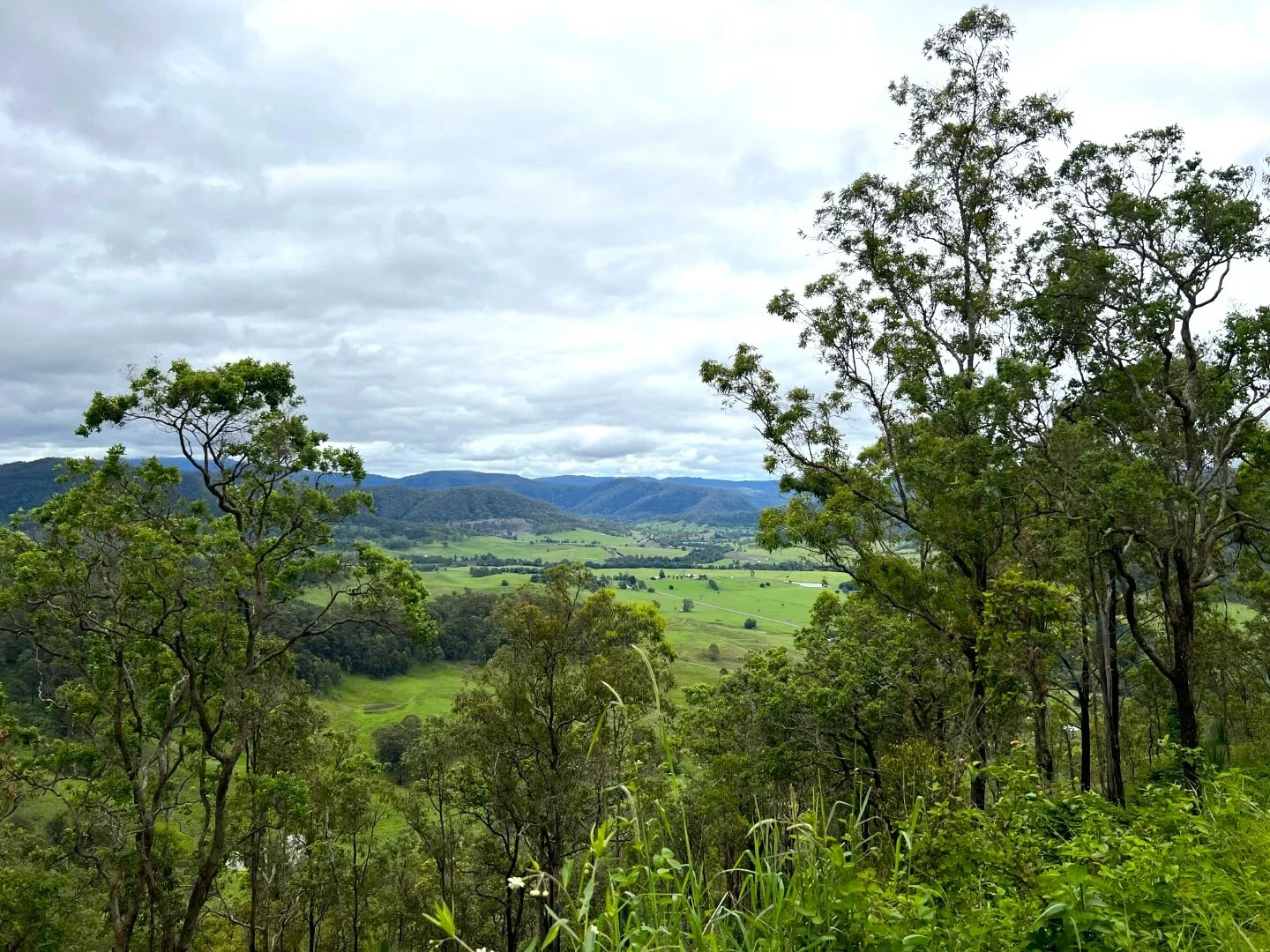 Additional image 21 of 59 Wyndham Road, Wyneden NSW 2474