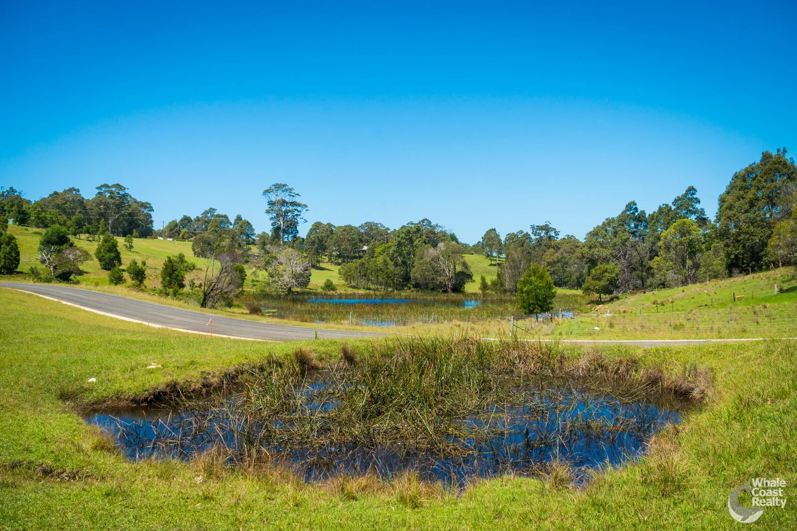 Additional image 6 of 2, 81 Wonga Road, Narooma NSW 2546