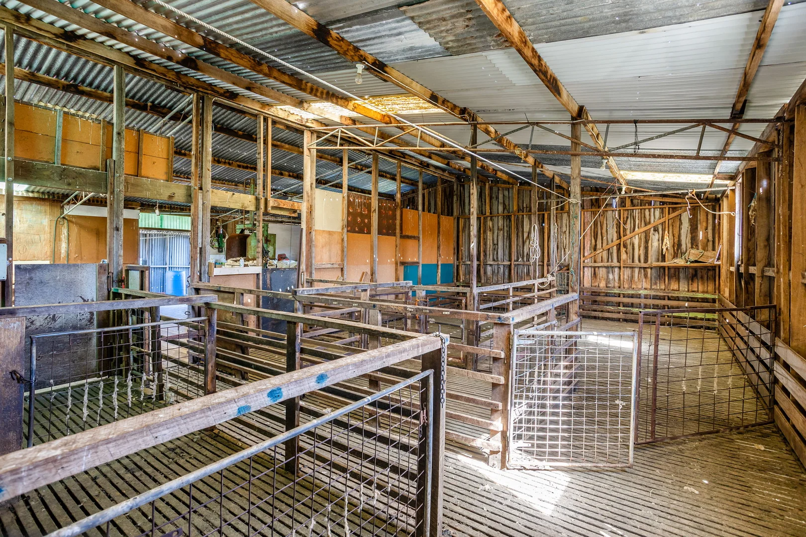 Additional image 17 of 3600 Blessington Road, Upper Blessington TAS 7212