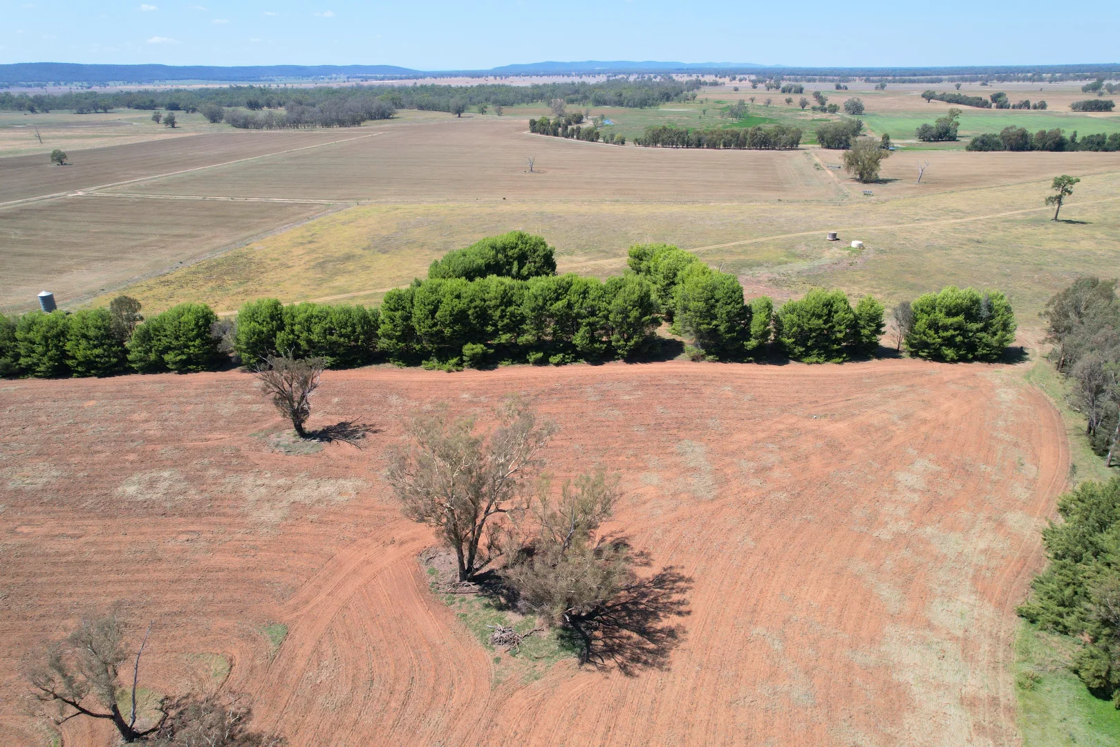 Additional image 25 of 2071 Yarrabandai Road, Bedgerabong NSW 2871