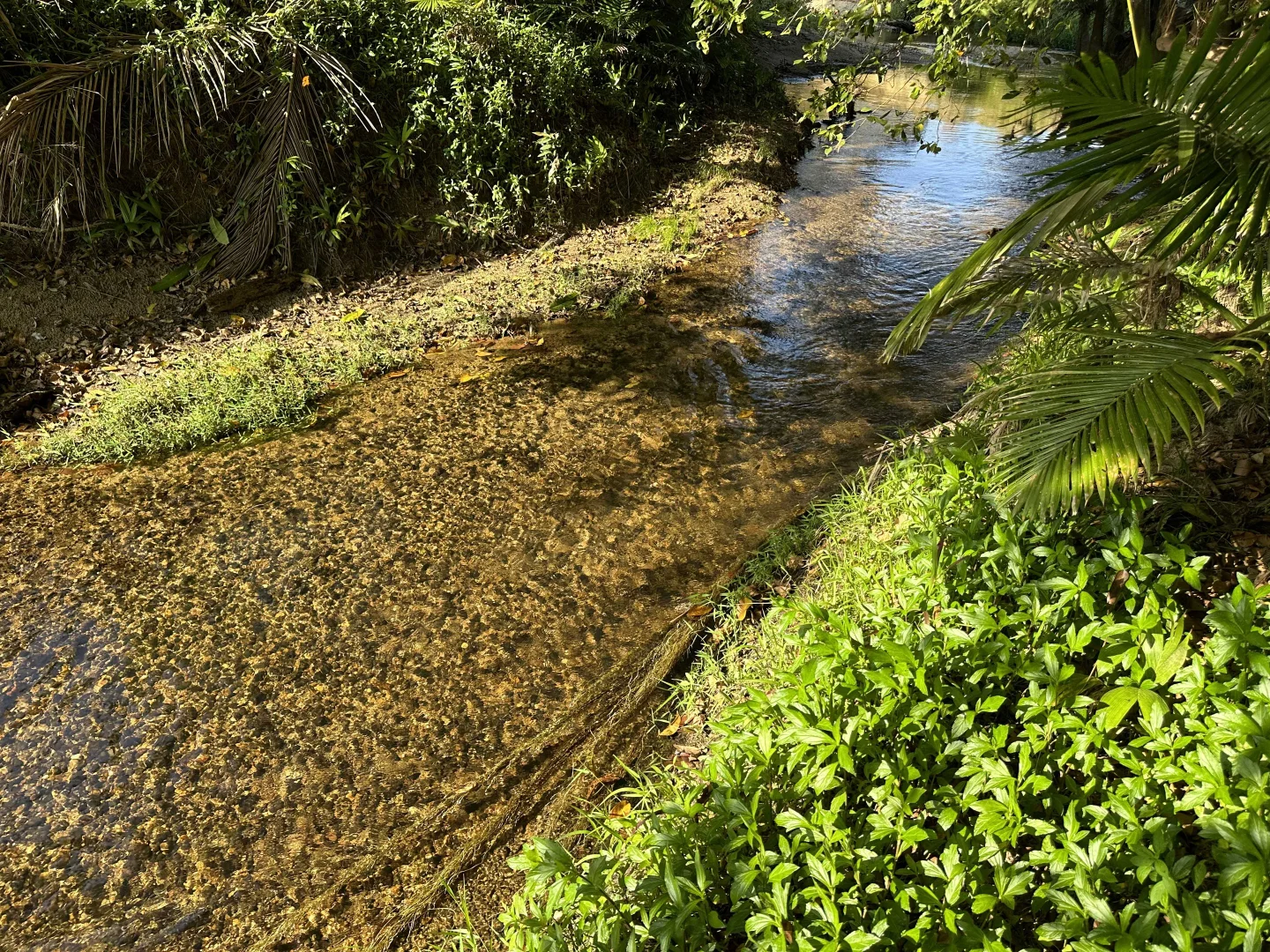 Additional image 22 of Lot 2 Broderick Road, Midgenoo QLD 4854