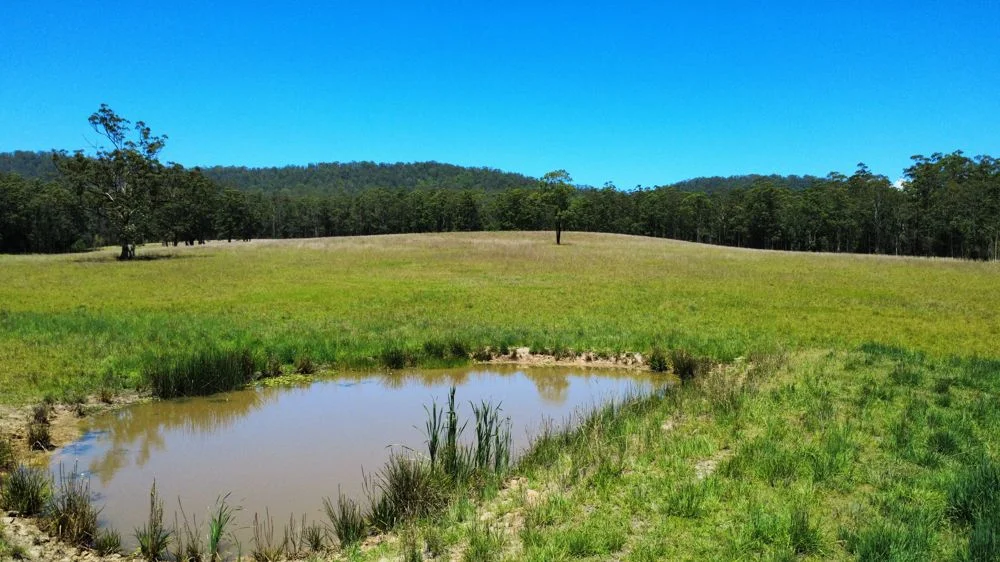 Additional image 5 of Lot 2 Upper Smiths Creek Road, Kundabung NSW 2441