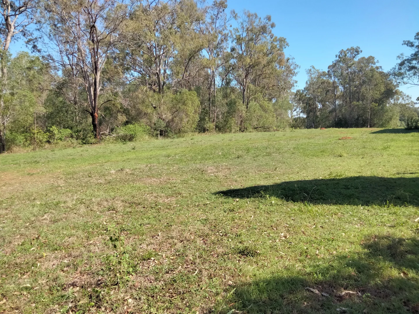 Additional image 52 of 2913 Rosedale Road, Yandaran QLD 4673