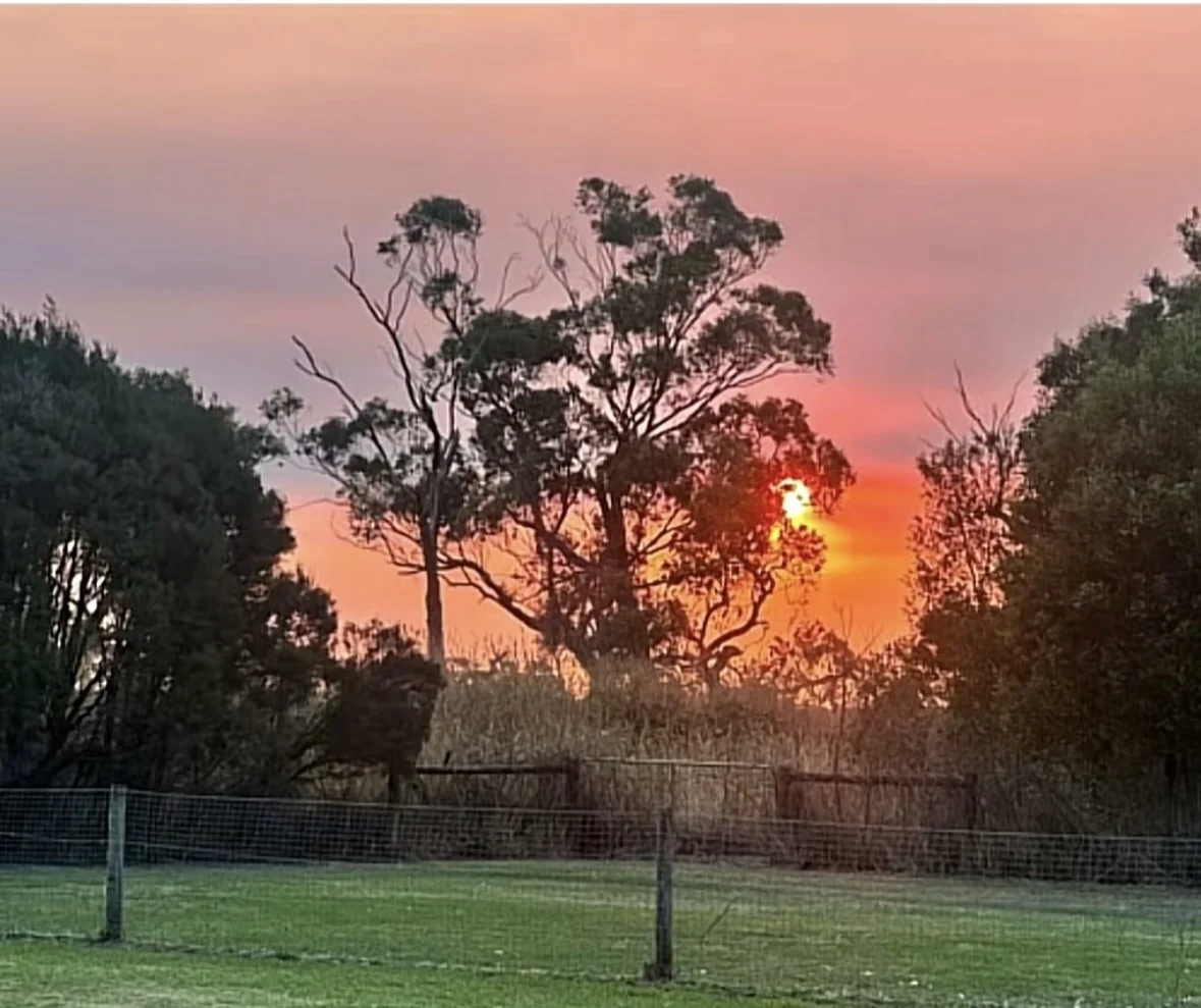 Additional image 16 of 113 Donelan Dr, Hernes Oak VIC 3825