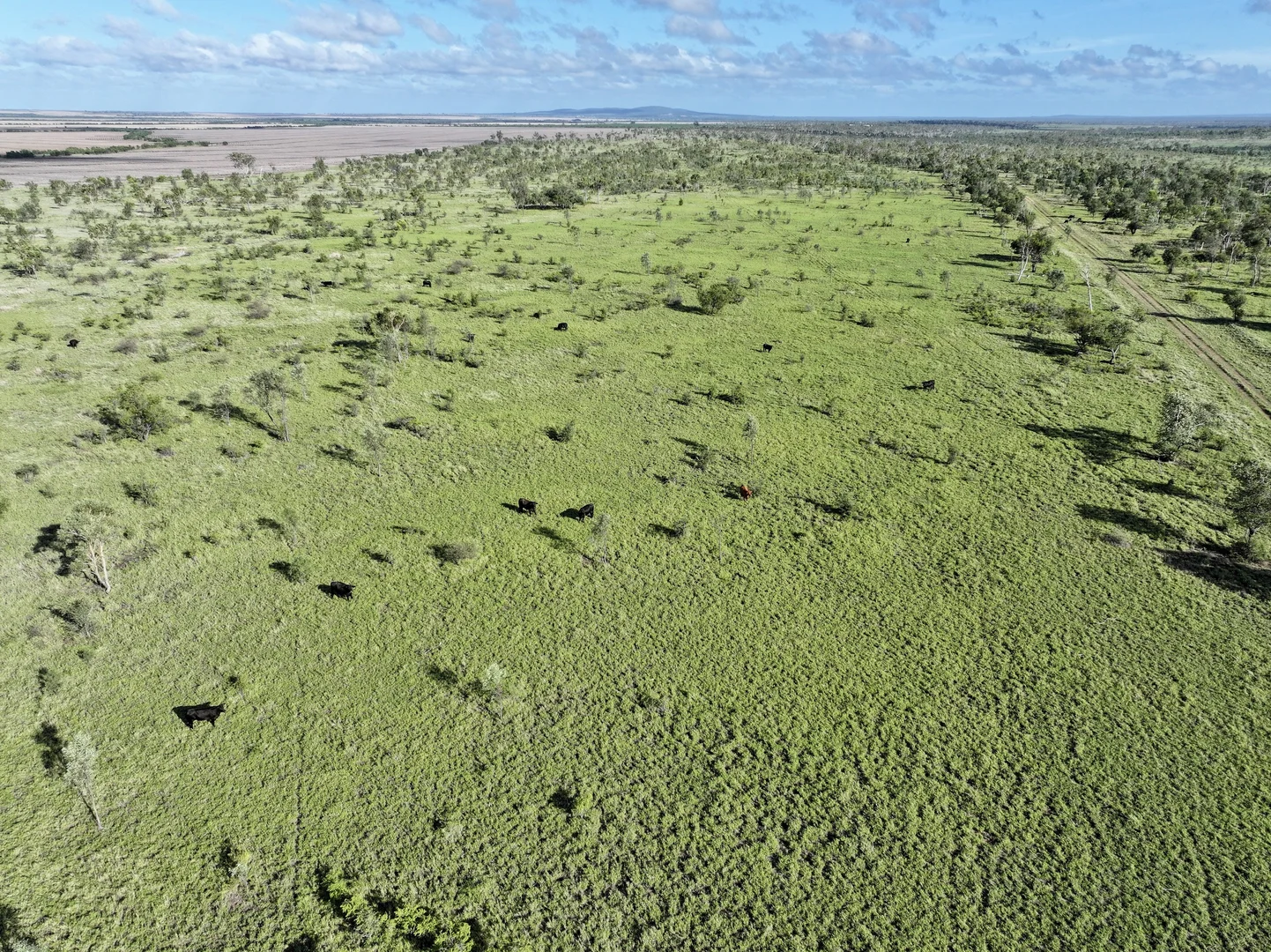 Additional image 6 of Russell Park Road, Clermont QLD 4721