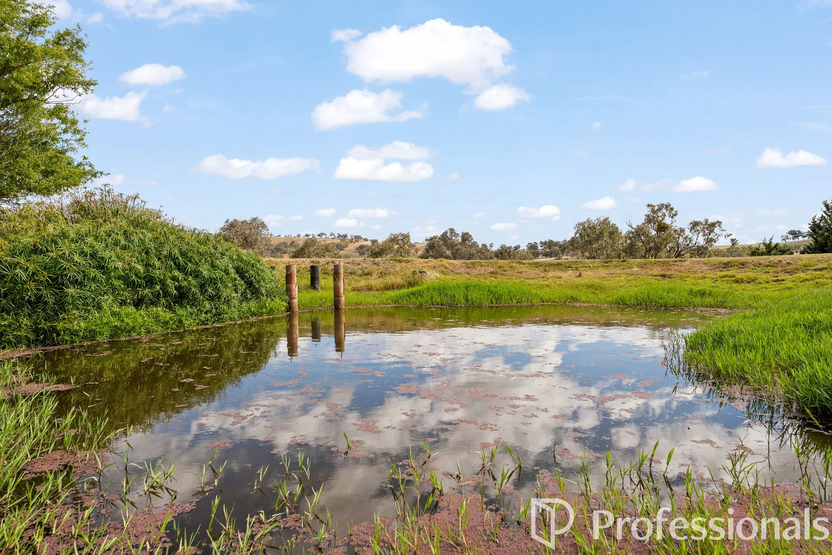 Additional image 27 of 41 Cherry Lane, Robin Hill NSW 2795