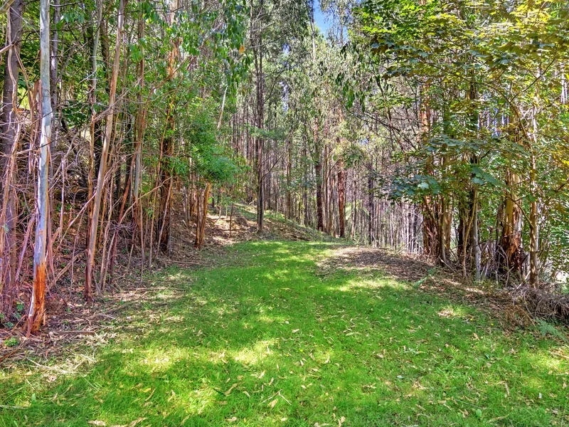 Additional image 3 of 22 Woods Point Road, Marysville VIC 3779