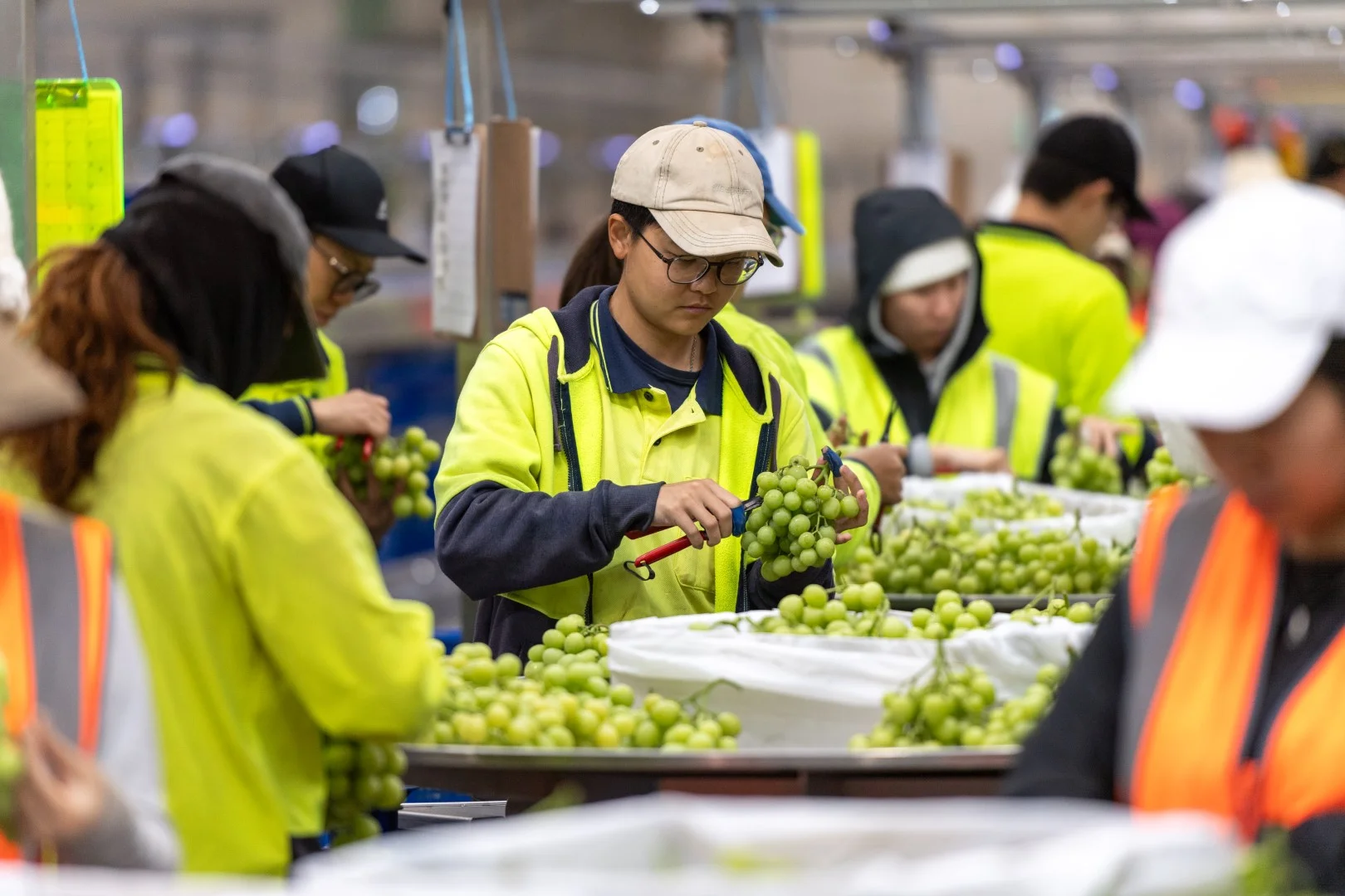 Additional image 15 of 1251 Stanitzki Road, Pike River SA 5340