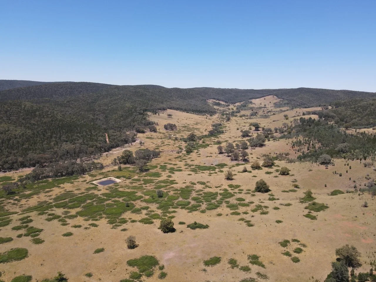 Additional image 34 of "Abercorn", 2154 Kangarooby Road, Gooloogong NSW 2805