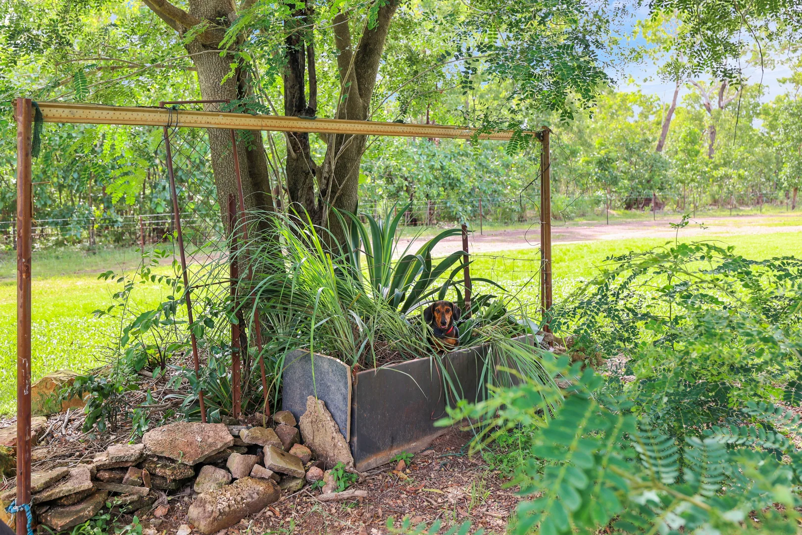 Additional image 24 of 178 McGorrie Road, Marrakai NT 0822