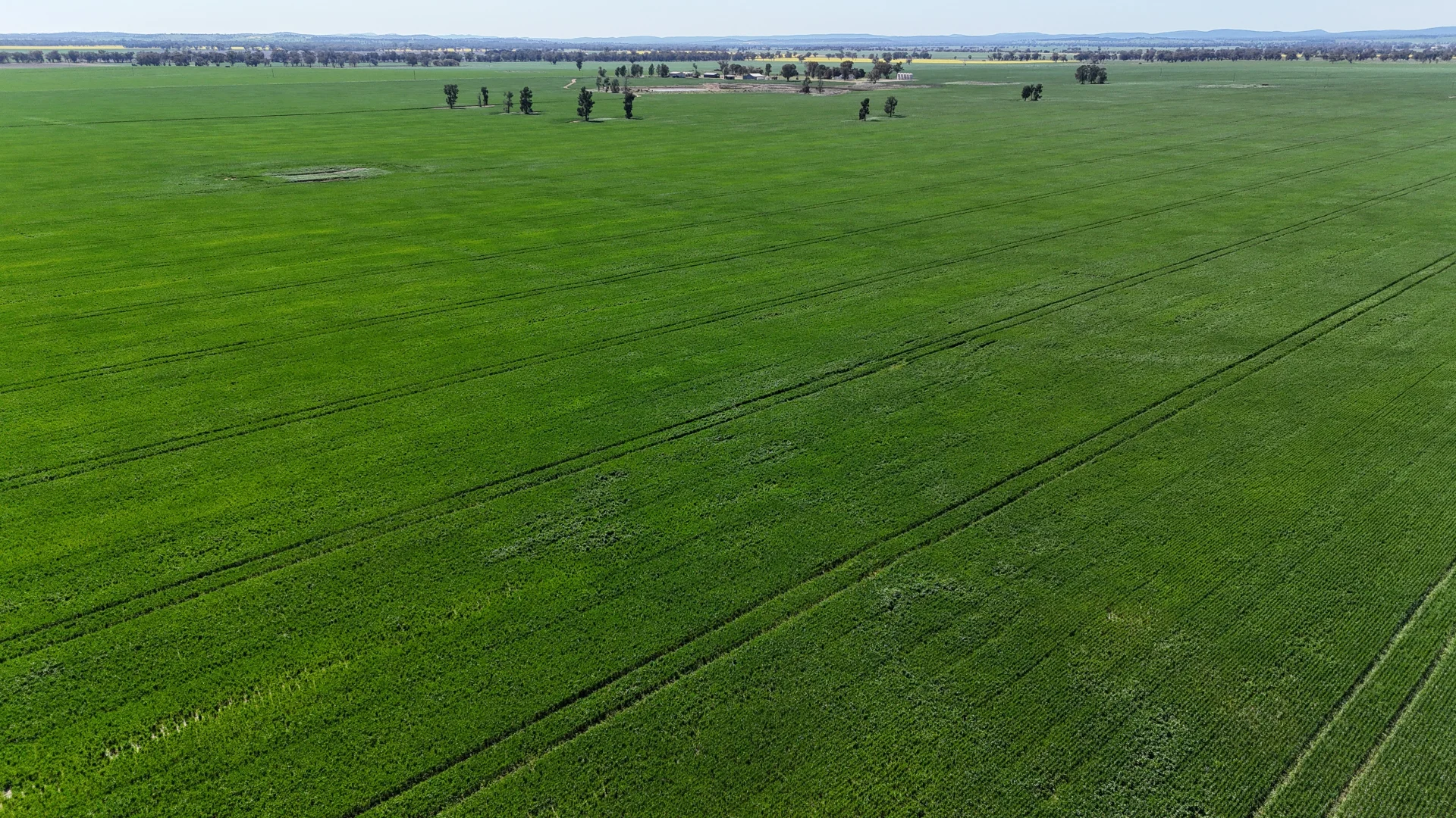 Additional image 8 of 92 Millers Lane, Parkes NSW 2870