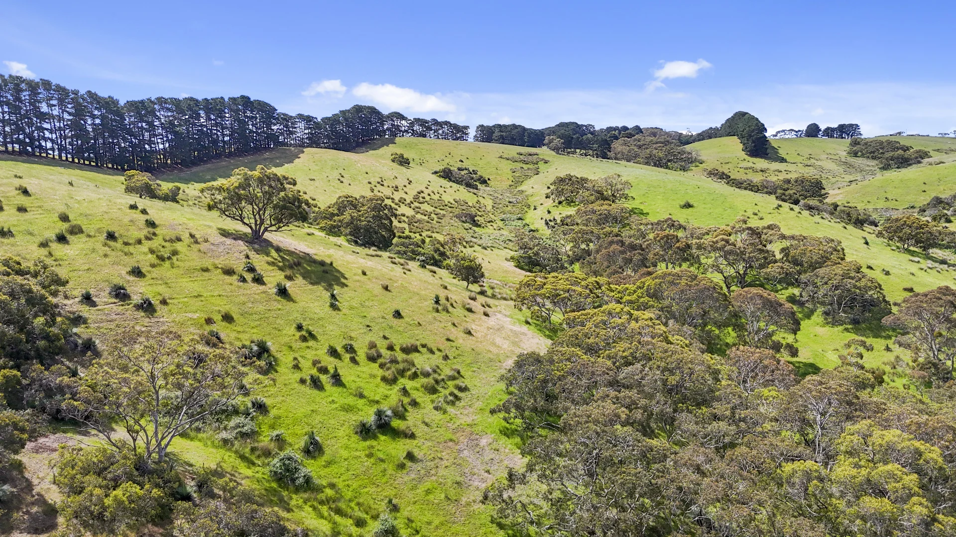 Additional image 32 of 137 Faggotter Road, Myponga SA 5202