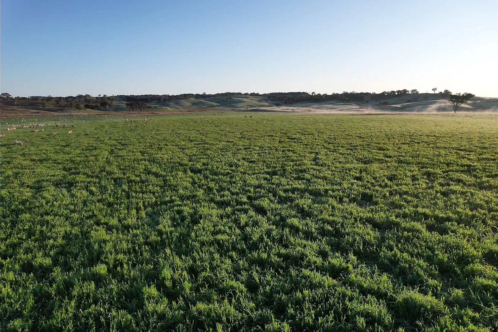 Additional image 8 of 569 & 640 Blakney Creek North Road, Blakney Creek NSW 2581