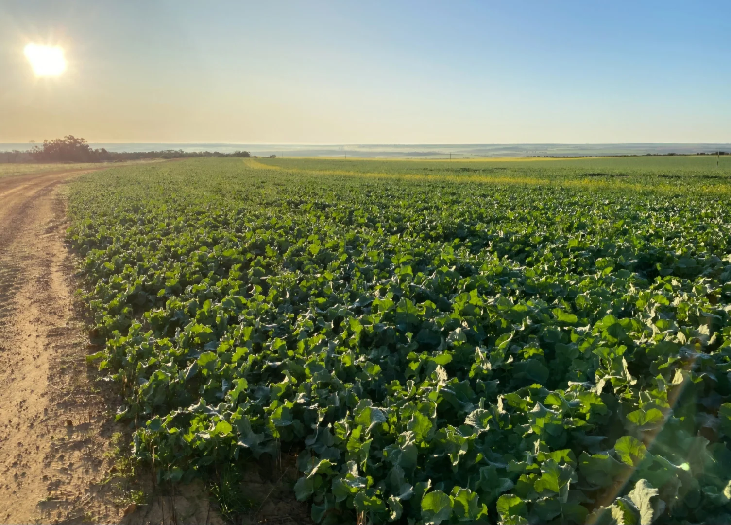 Additional image 30 of Valentine Road, Wicherina WA 6532