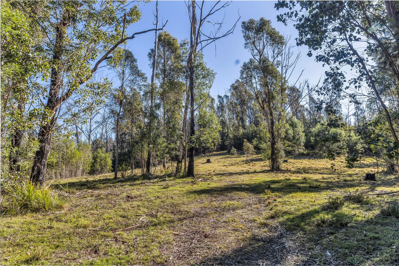 Additional image 4 of 15/752167&1/1089730 Illawambra Valley Road, Yowrie NSW 2550