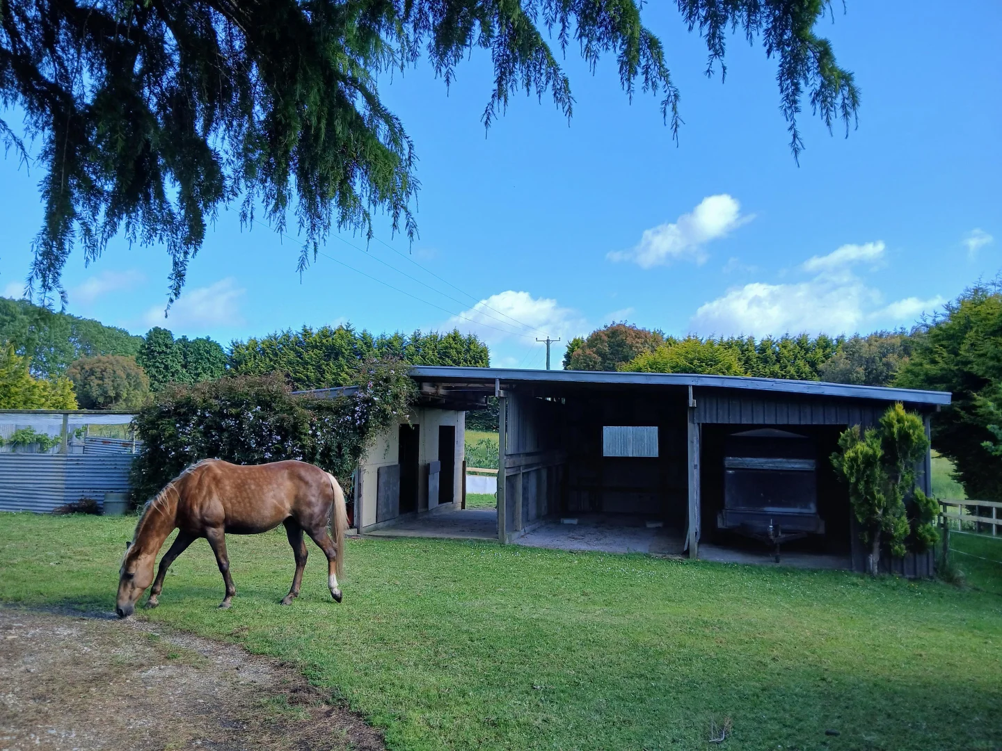 Additional image 12 of 74 Fosters Road, Wynyard TAS 7325