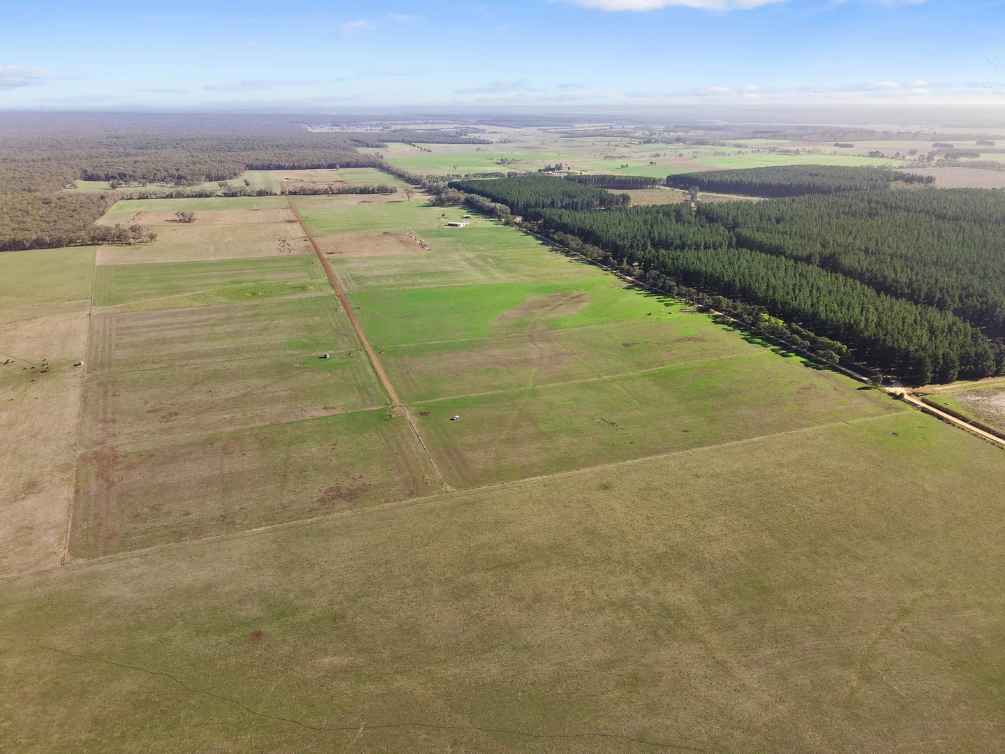 Additional image 40 of 140 Savins Road, Condah VIC 3303