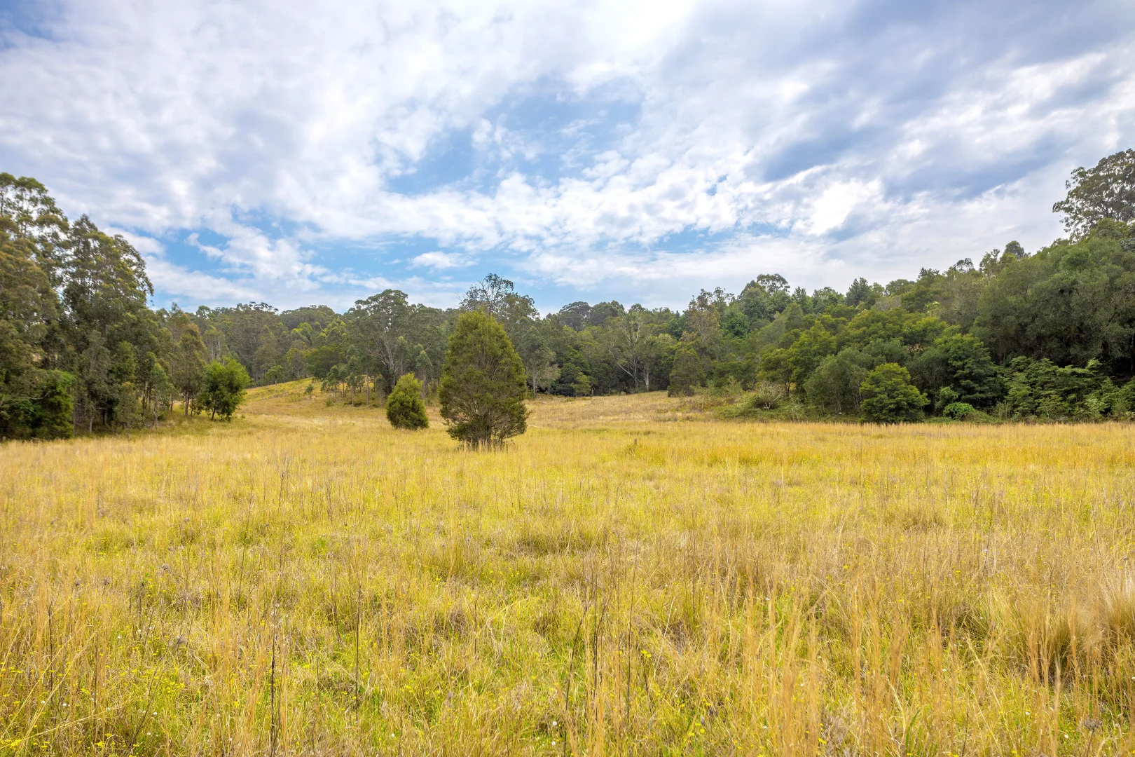 Additional image 7 of 180 Norries Road, Bunyah NSW 2429