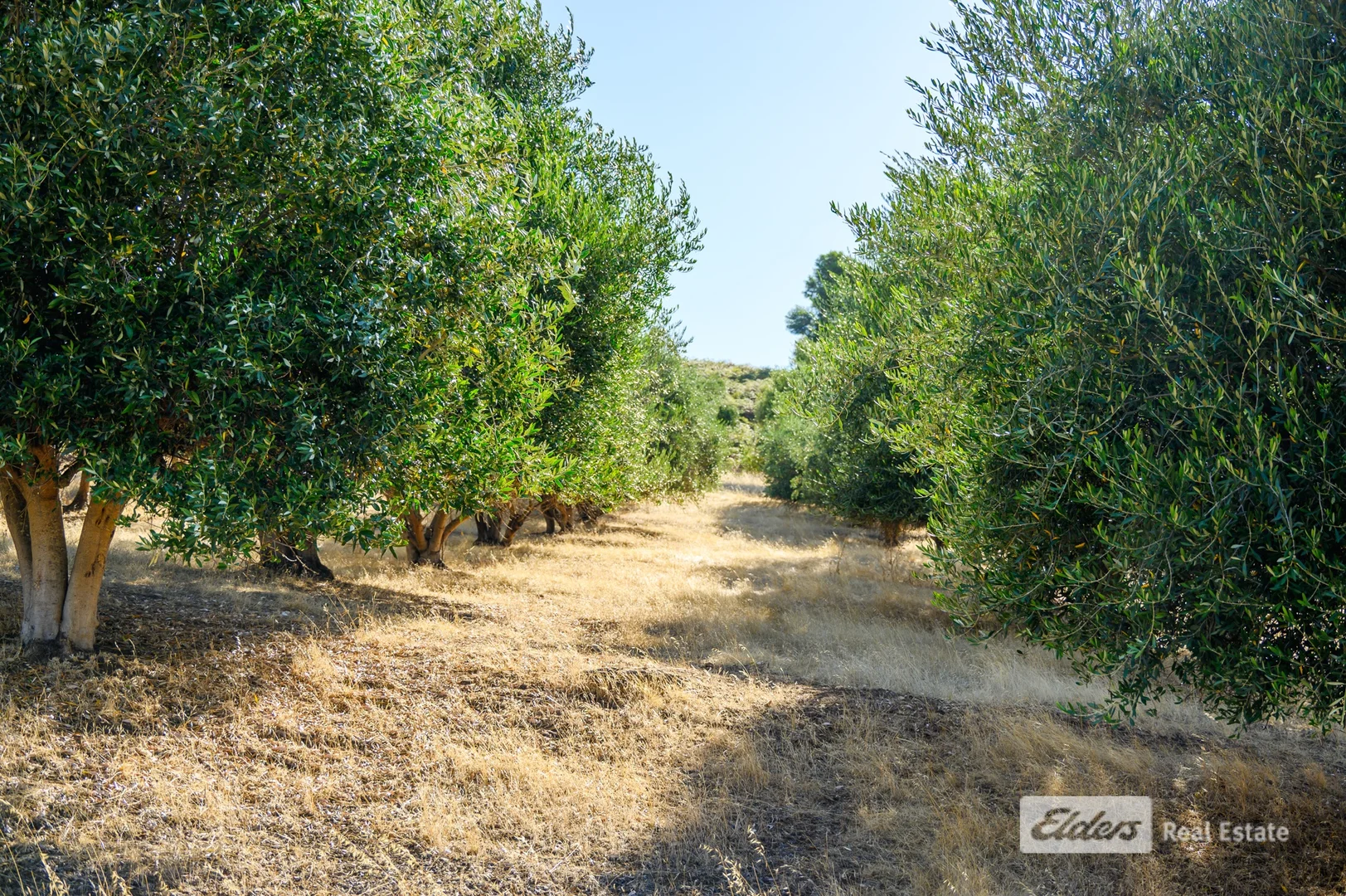 Additional image 42 of 93 Balingup-Nannup Road, Balingup WA 6253