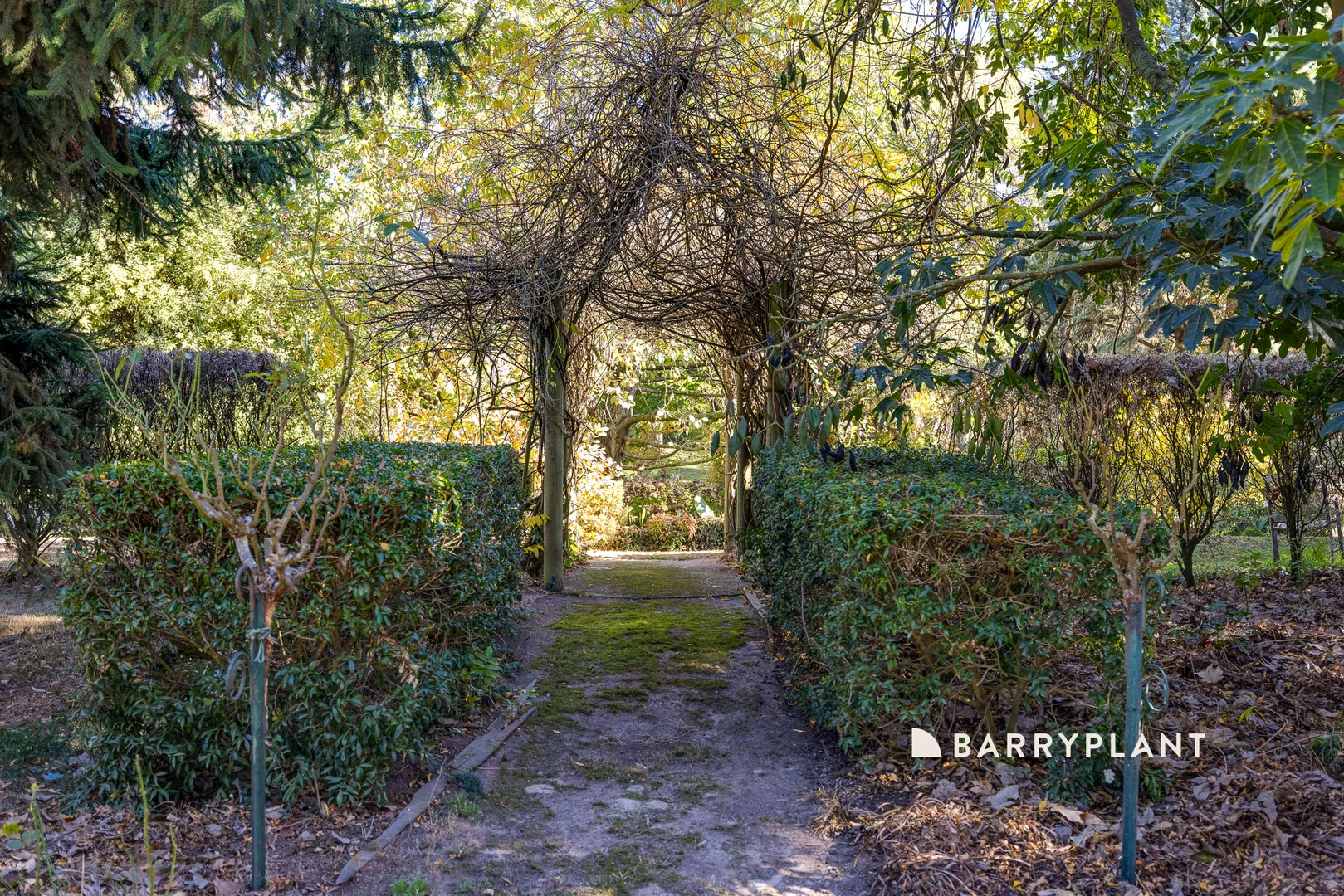 Additional image 22 of 28 Roches Road, Trafalgar VIC 3824