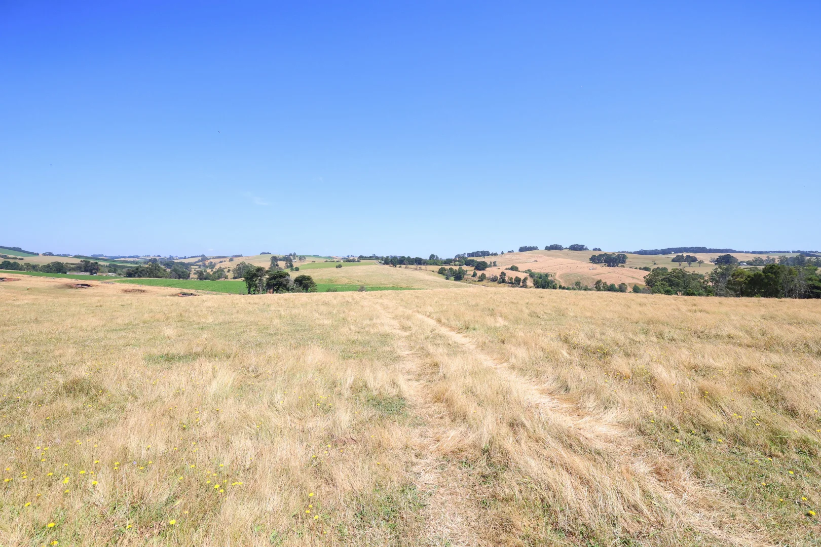 Additional image 13 of Lot 2/107 Cooks Road, Thorpdale VIC 3835