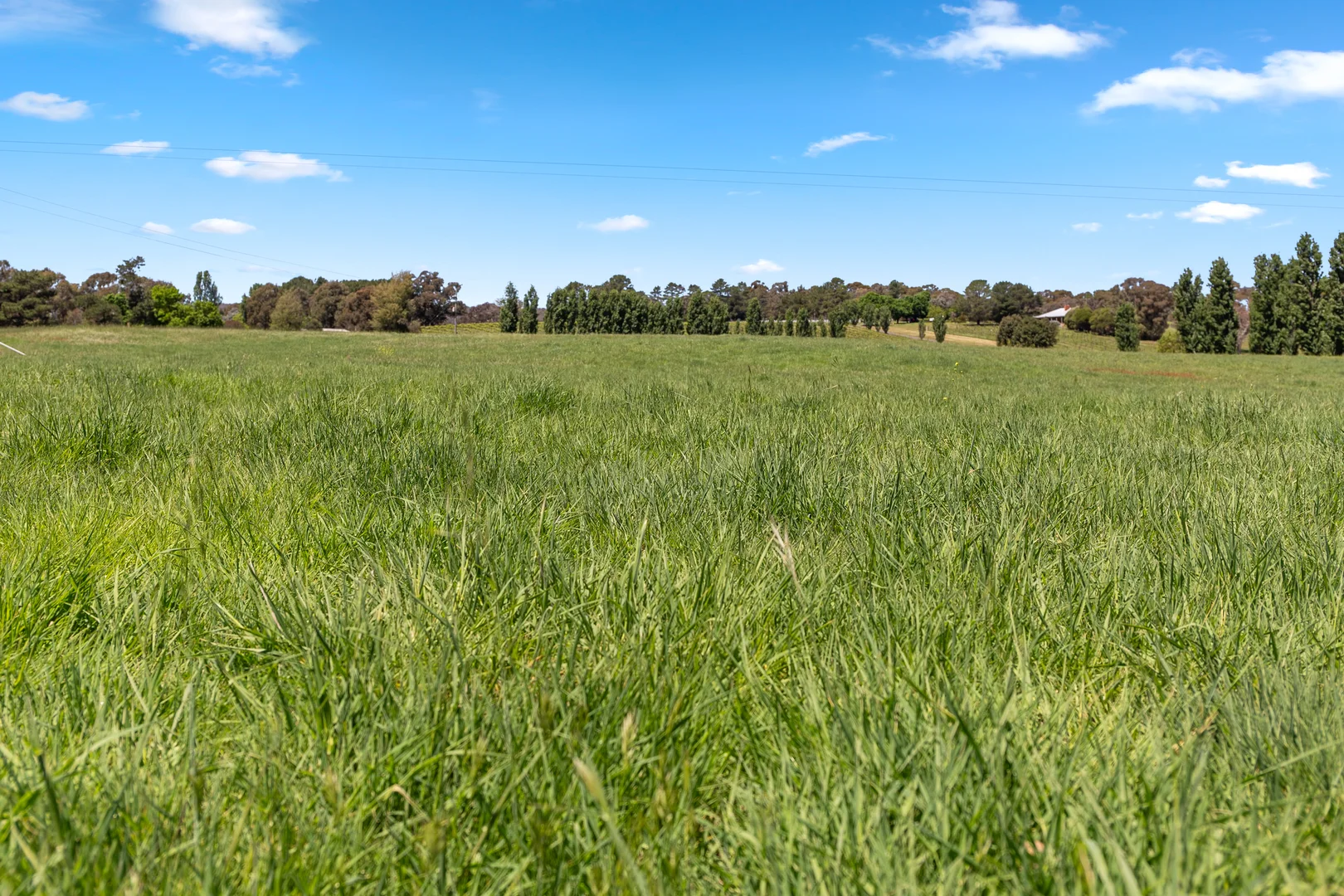 Additional image 5 of 33 BUTTS Road, Murrumbateman NSW 2582