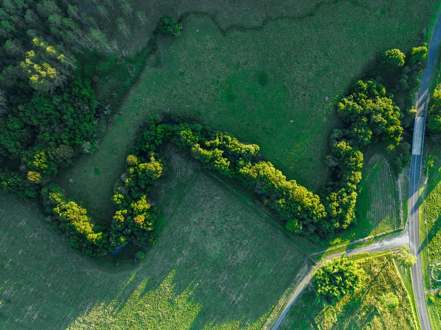 Additional image 5 of 2 Webber Road, Tregeagle NSW 2480