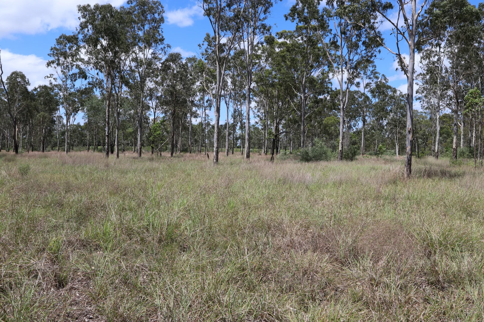 Additional image 19 of 330 Doonside Road, Jardine QLD 4702