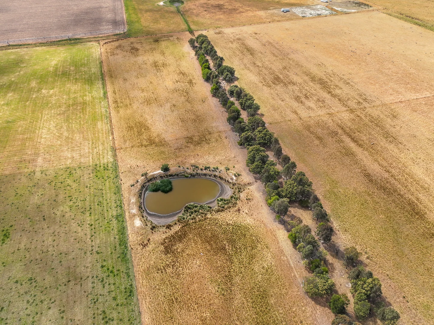 Additional image 25 of 480 Toongabbie Cowwarr Road, Cowwarr VIC 3857