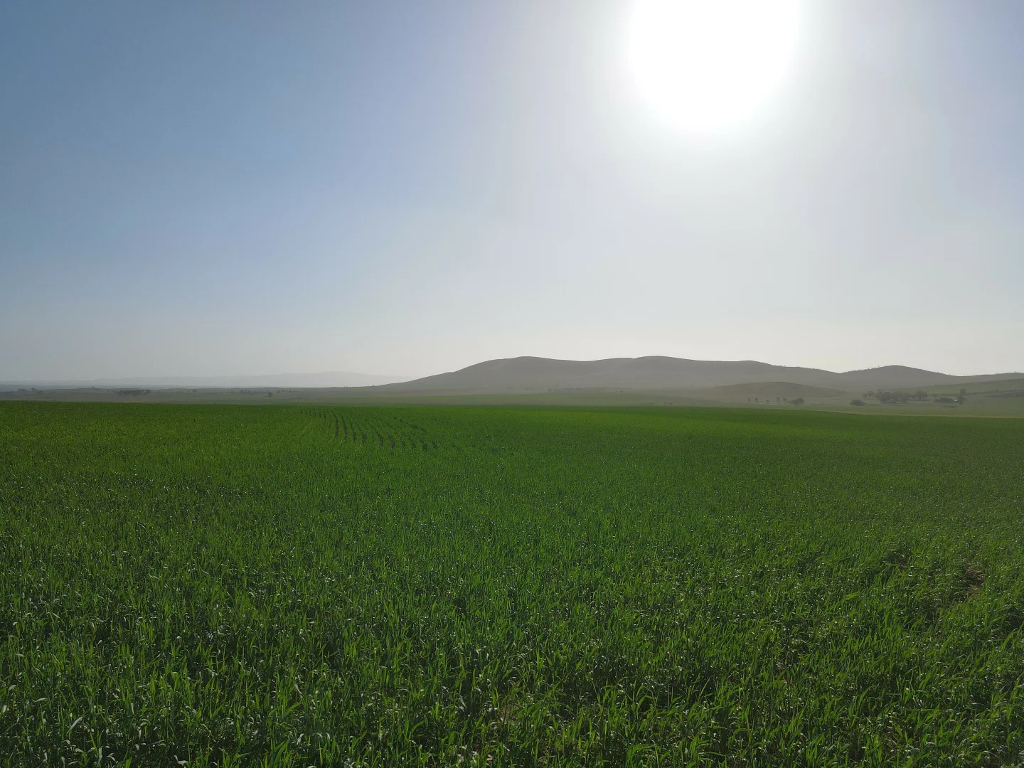 Additional image 11 of 274E Melrose Road, Pekina SA 5431