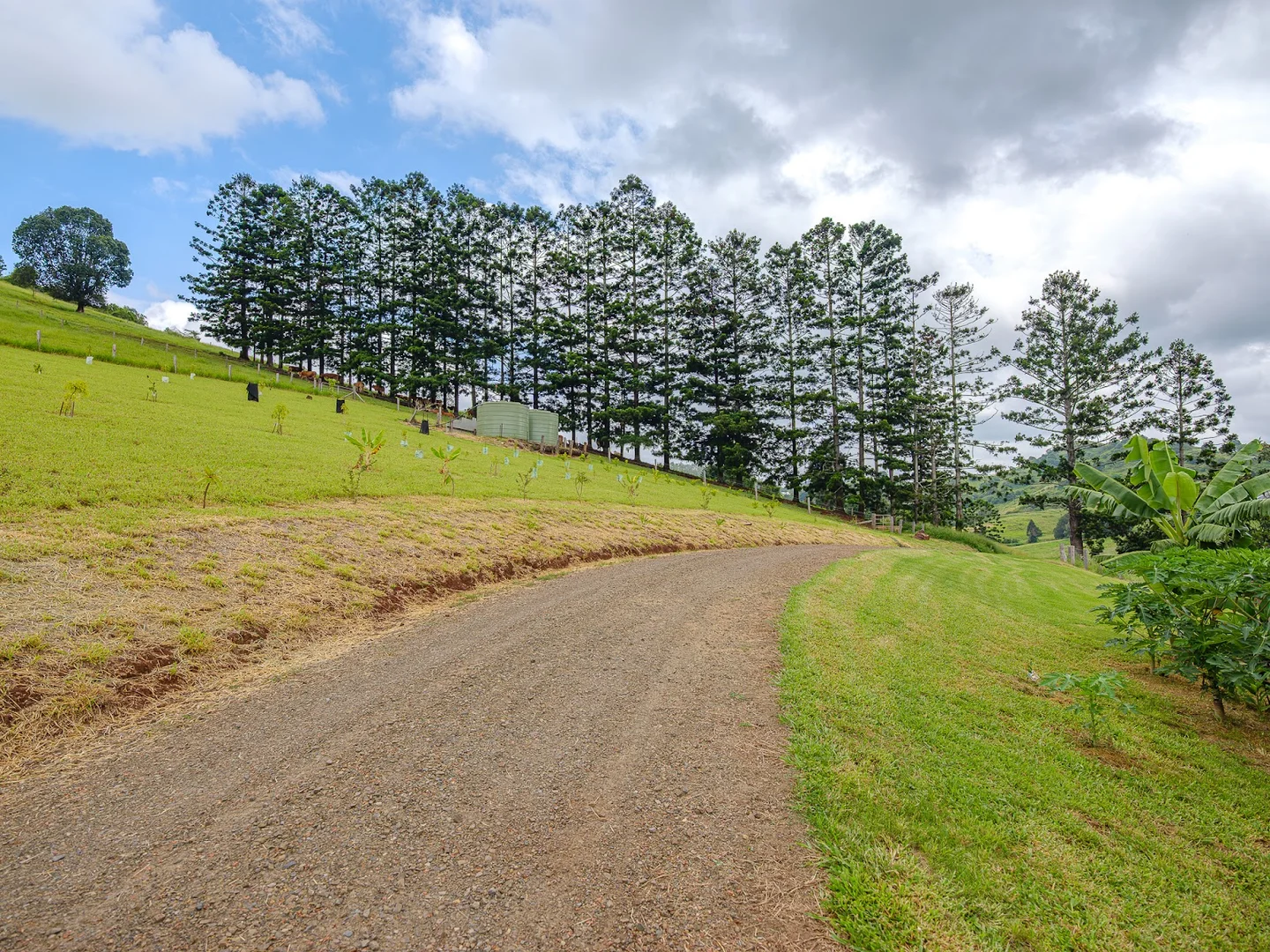 Additional image 6 of 149 Coppermine Creek Road, Langshaw QLD 4570