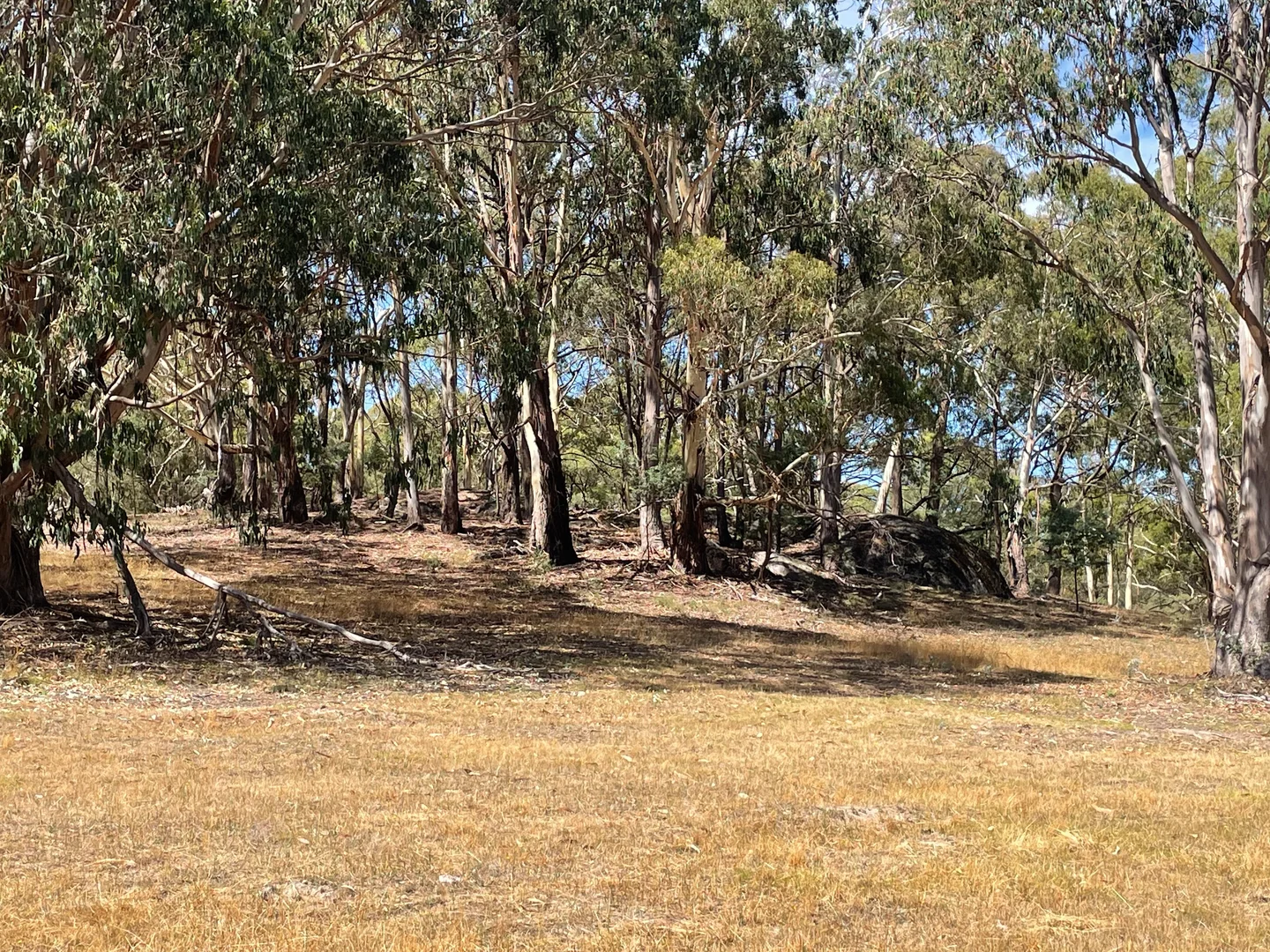 Additional image 21 of Strathbogie VIC 3666