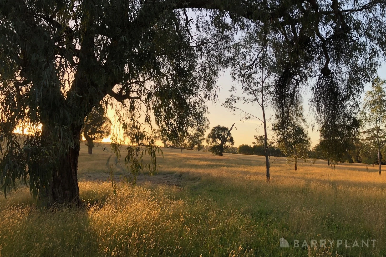 450 Sheepstation Creek Road, Yellingbo VIC 3139