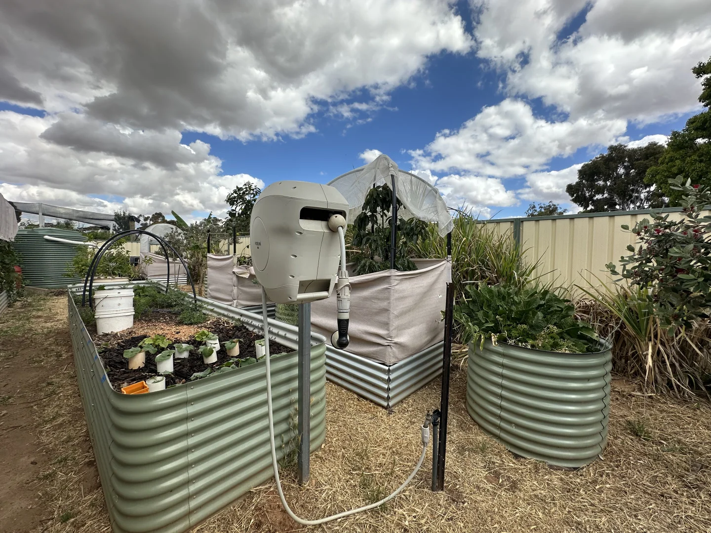 Additional image 24 of 22 Rifle North Street, Wagin WA 6315