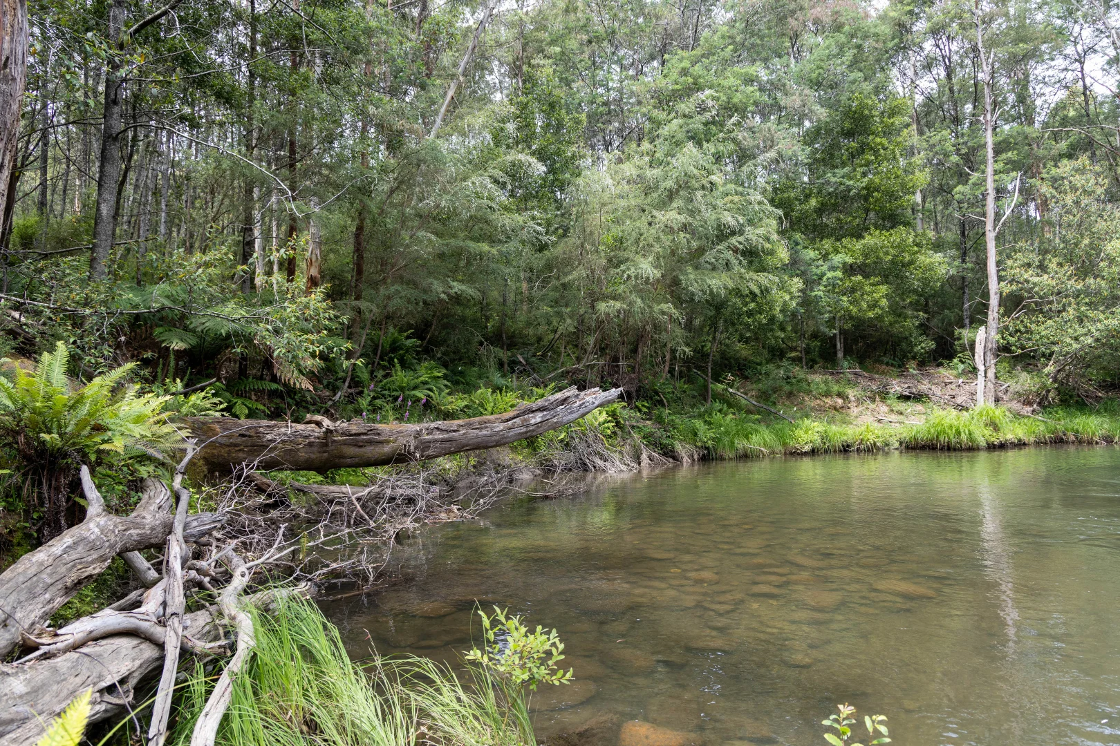 Additional image 2 of CA1 Mansfield-Woods Point Road, Knockwood VIC 3723