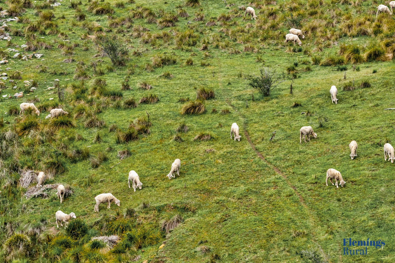 Additional image 11 of 1479 Grassy Creek Road, Rugby NSW 2583