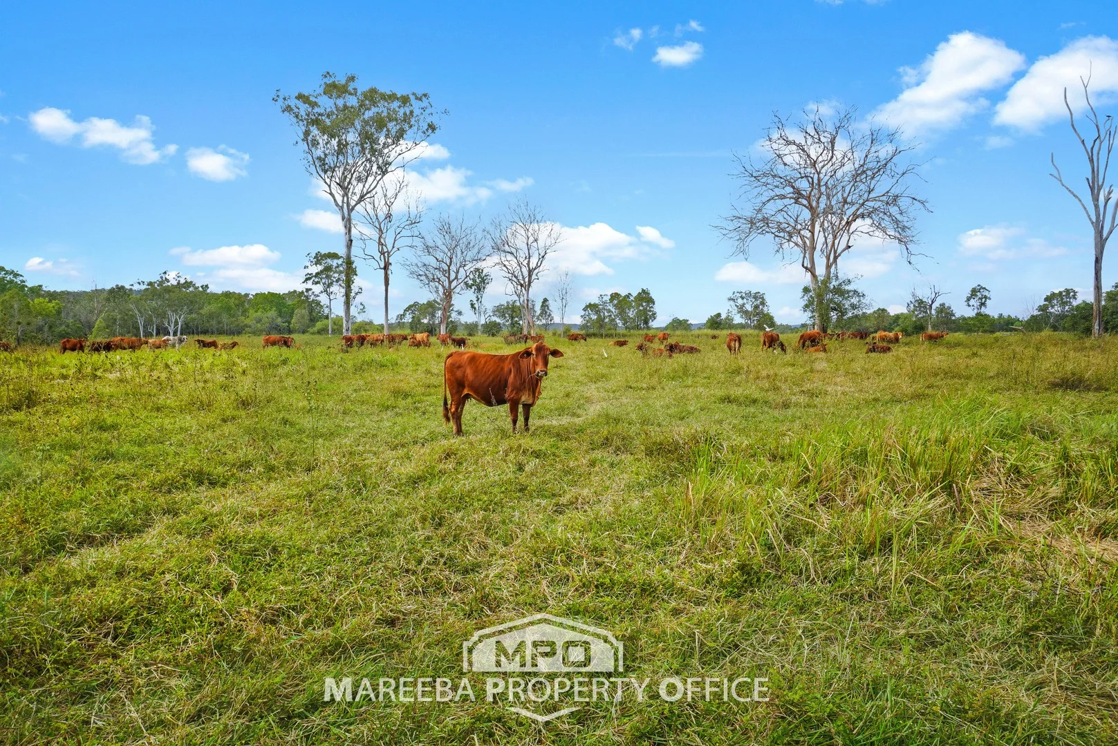 150 & 154, 764 Hodzic Road, Biboohra QLD 4880