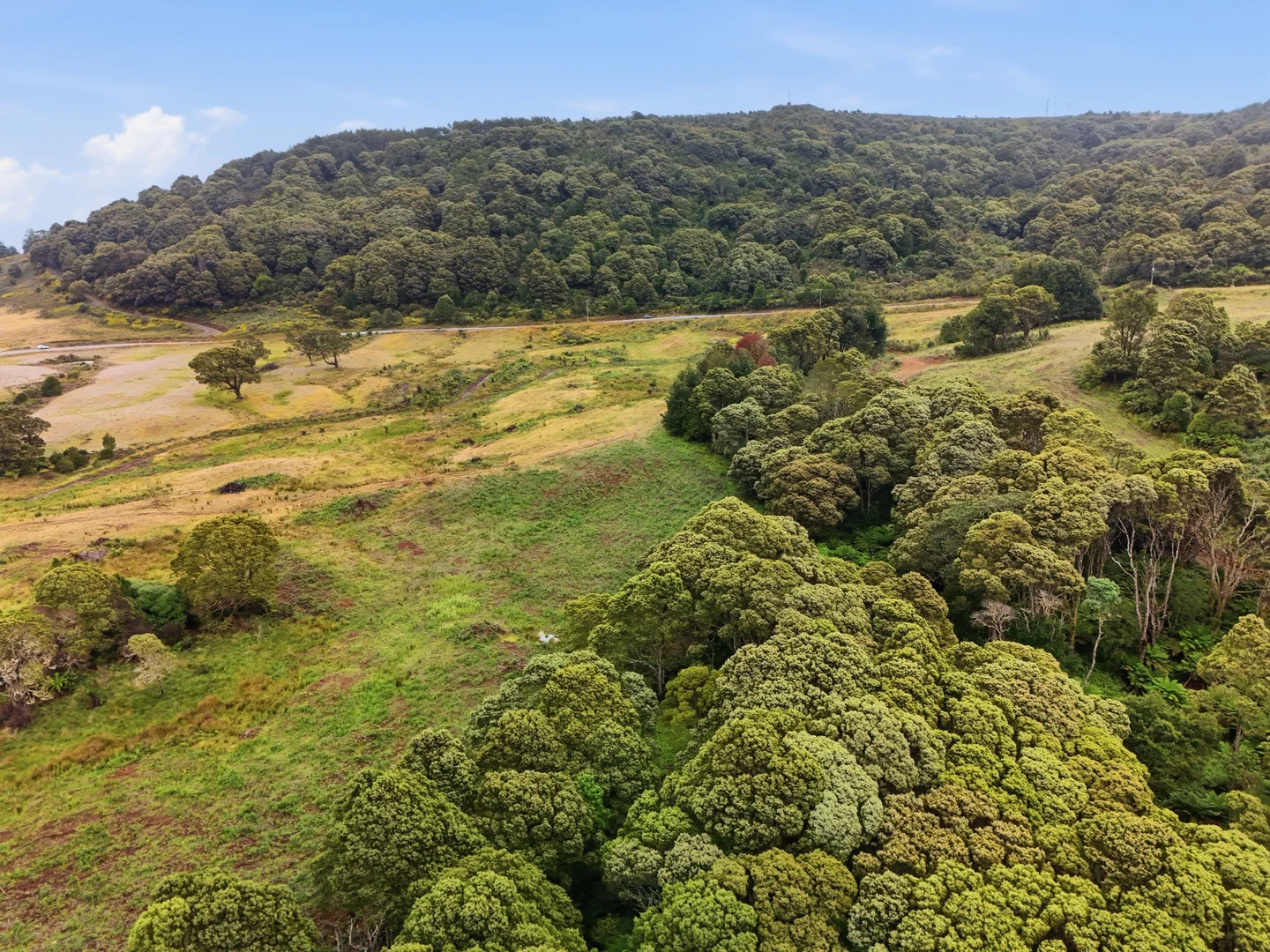 Additional image 3 of 28834 Tasman Highway, Weldborough TAS 7264