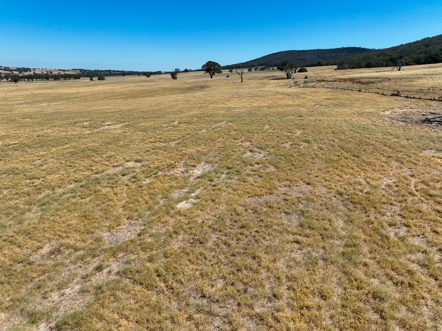 Additional image 5 of 'Yeronga' Piersons Road, Mangoplah NSW 2652