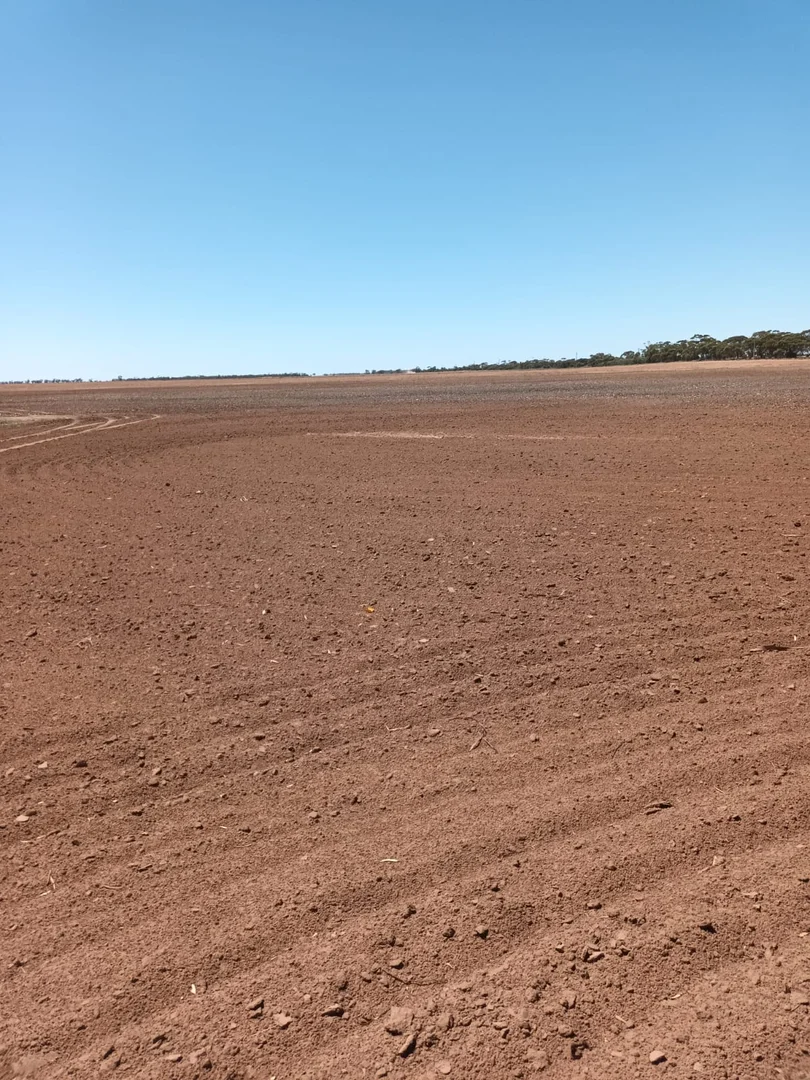 Additional image 7 of Swan Hill VIC 3585