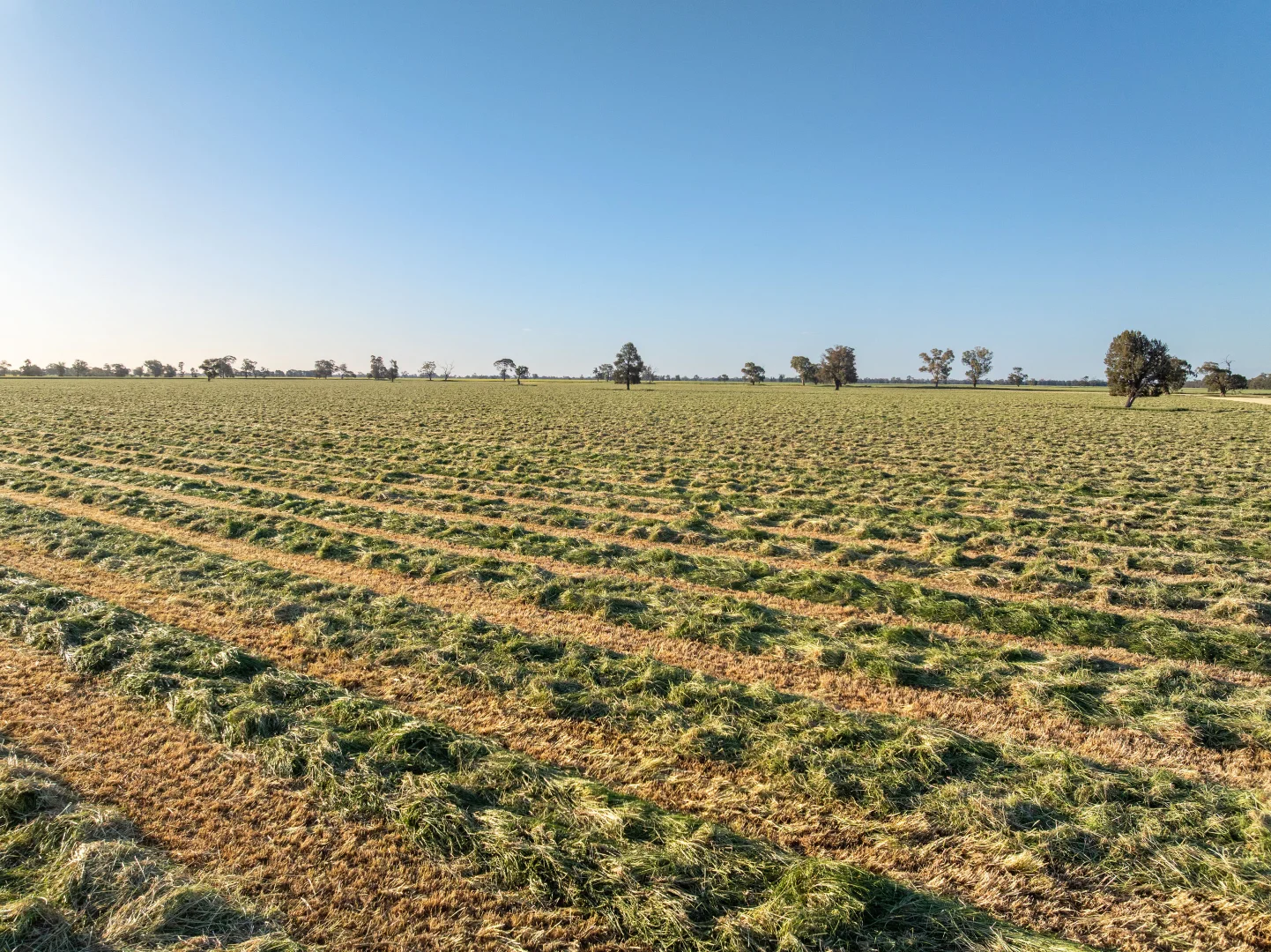 Additional image 20 of 1623 Redlands Road, Ringwood NSW 2646