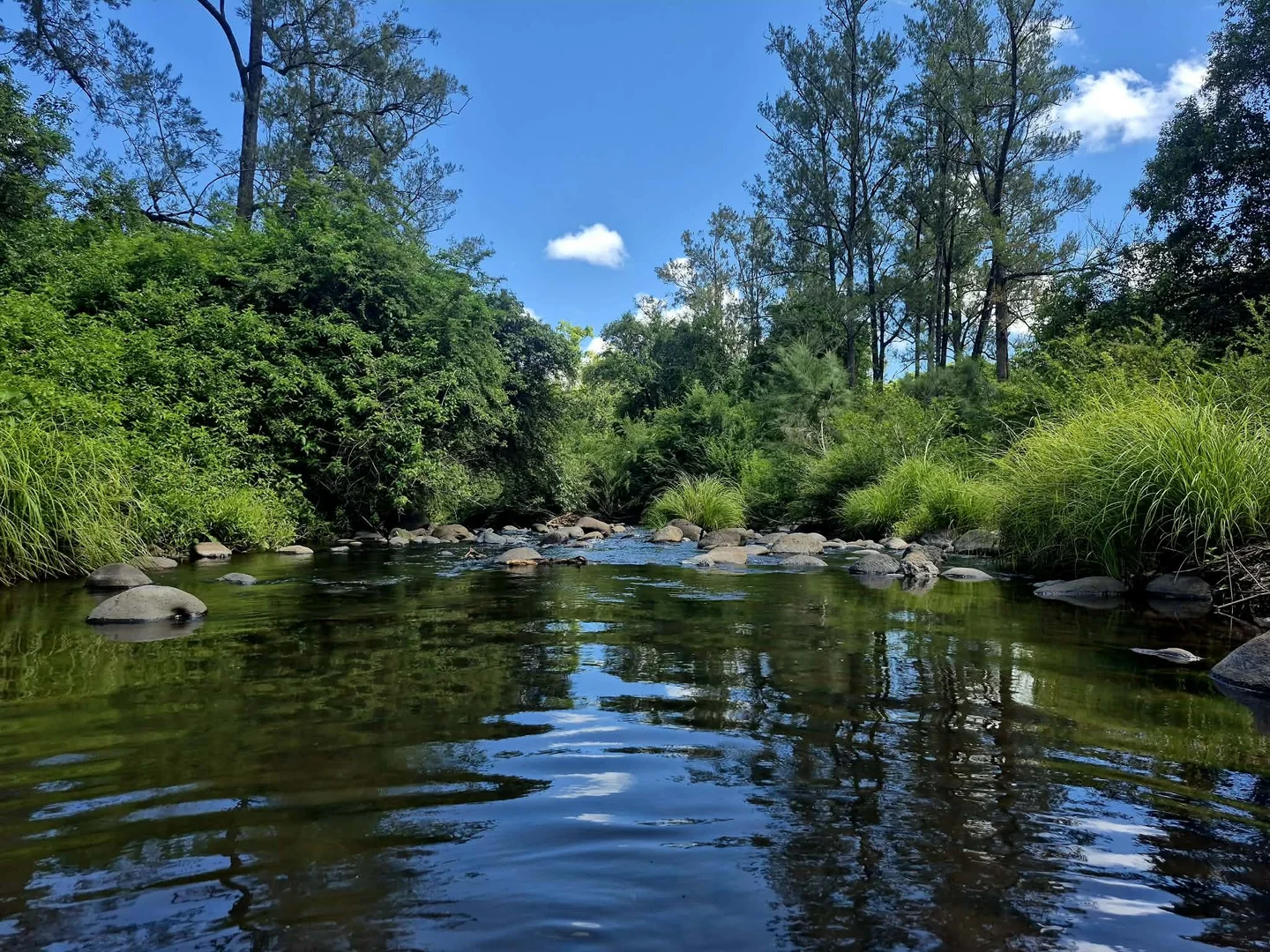 Additional image 9 of 1061 Lynches Creek Road, Kyogle NSW 2474