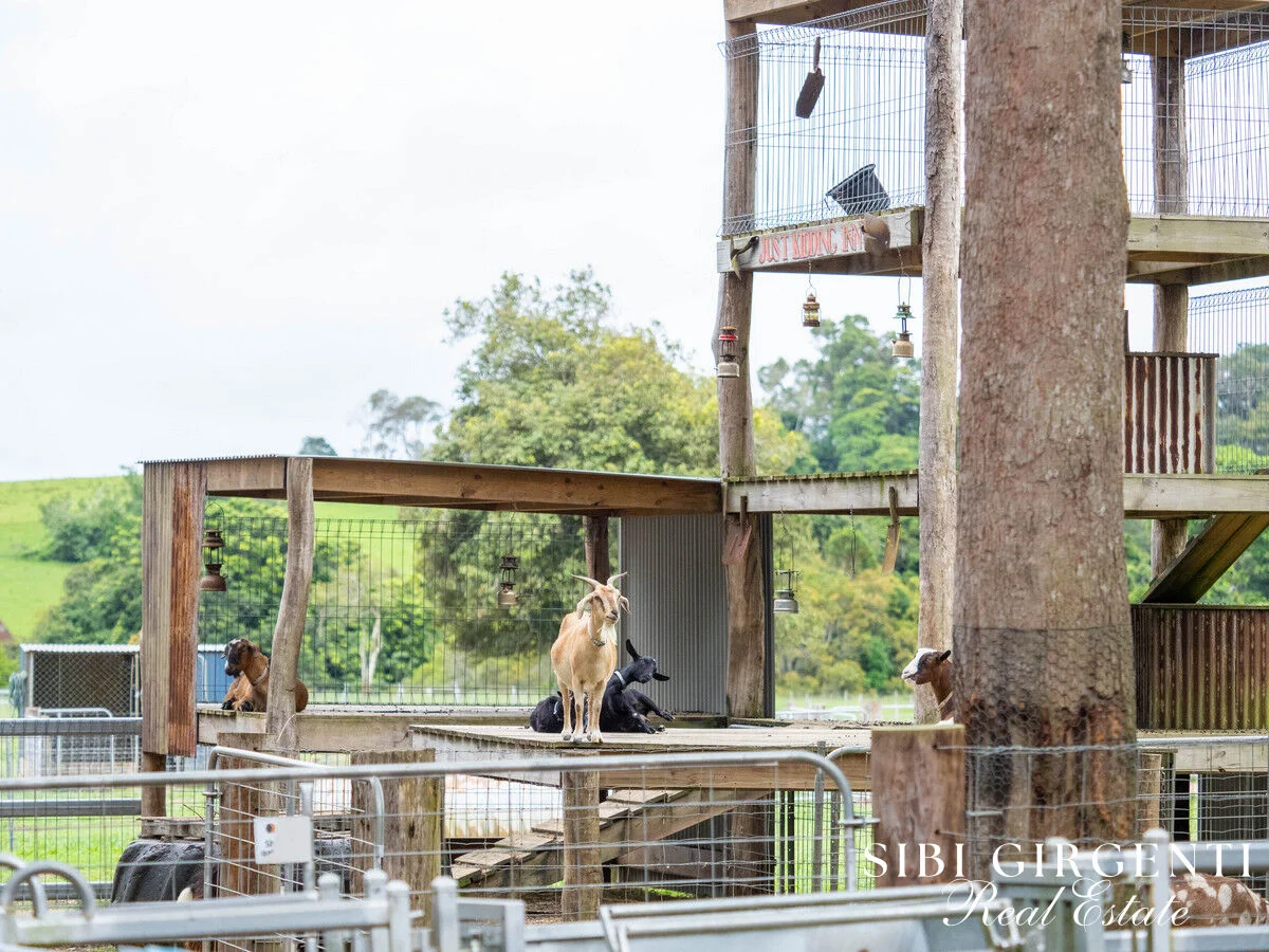 Additional image 28 of 238 Hemmings Lane, Upper Barron QLD 4883