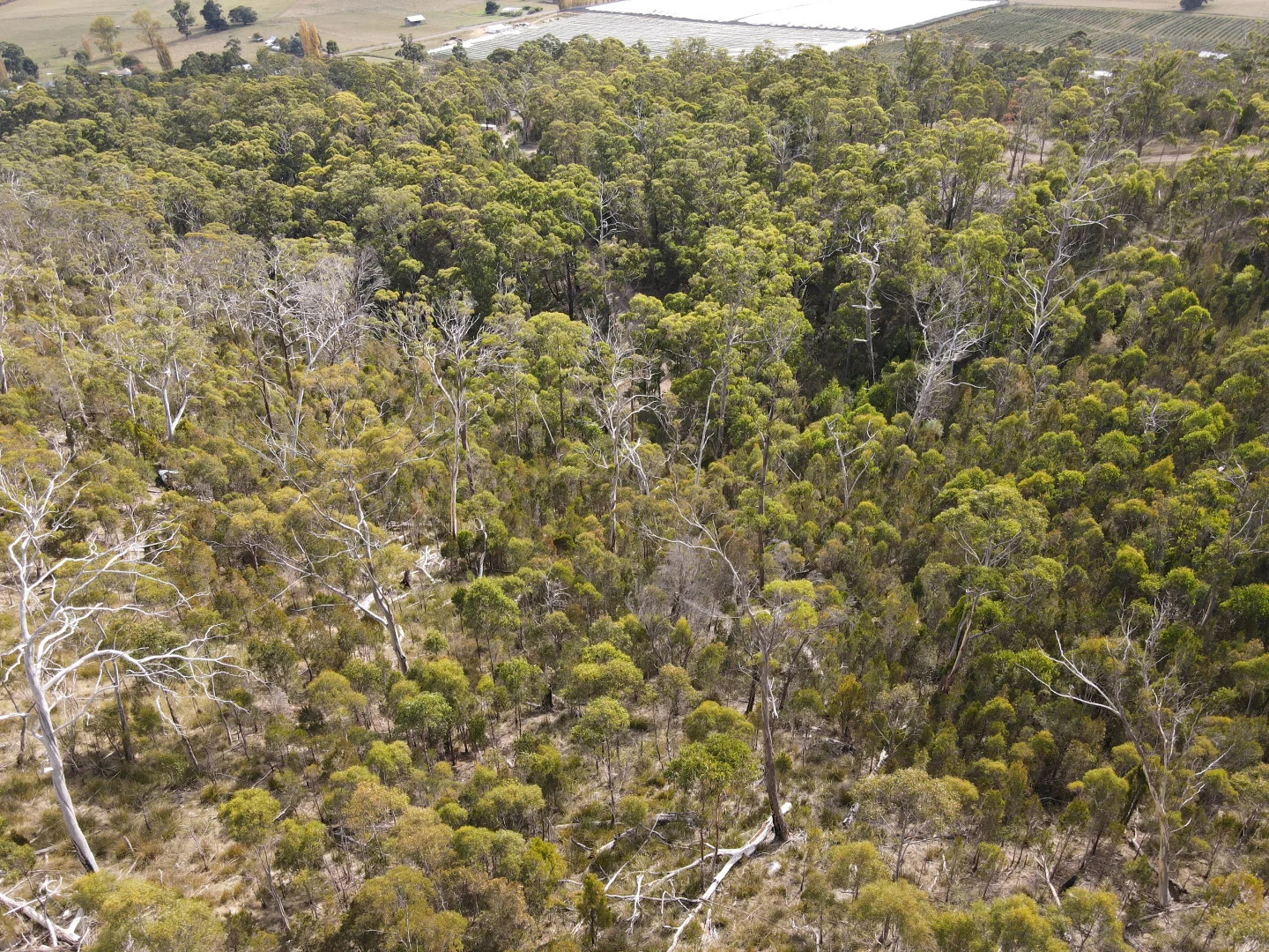 Additional image 15 of 14 Bull Oak Way, Grove TAS 7109
