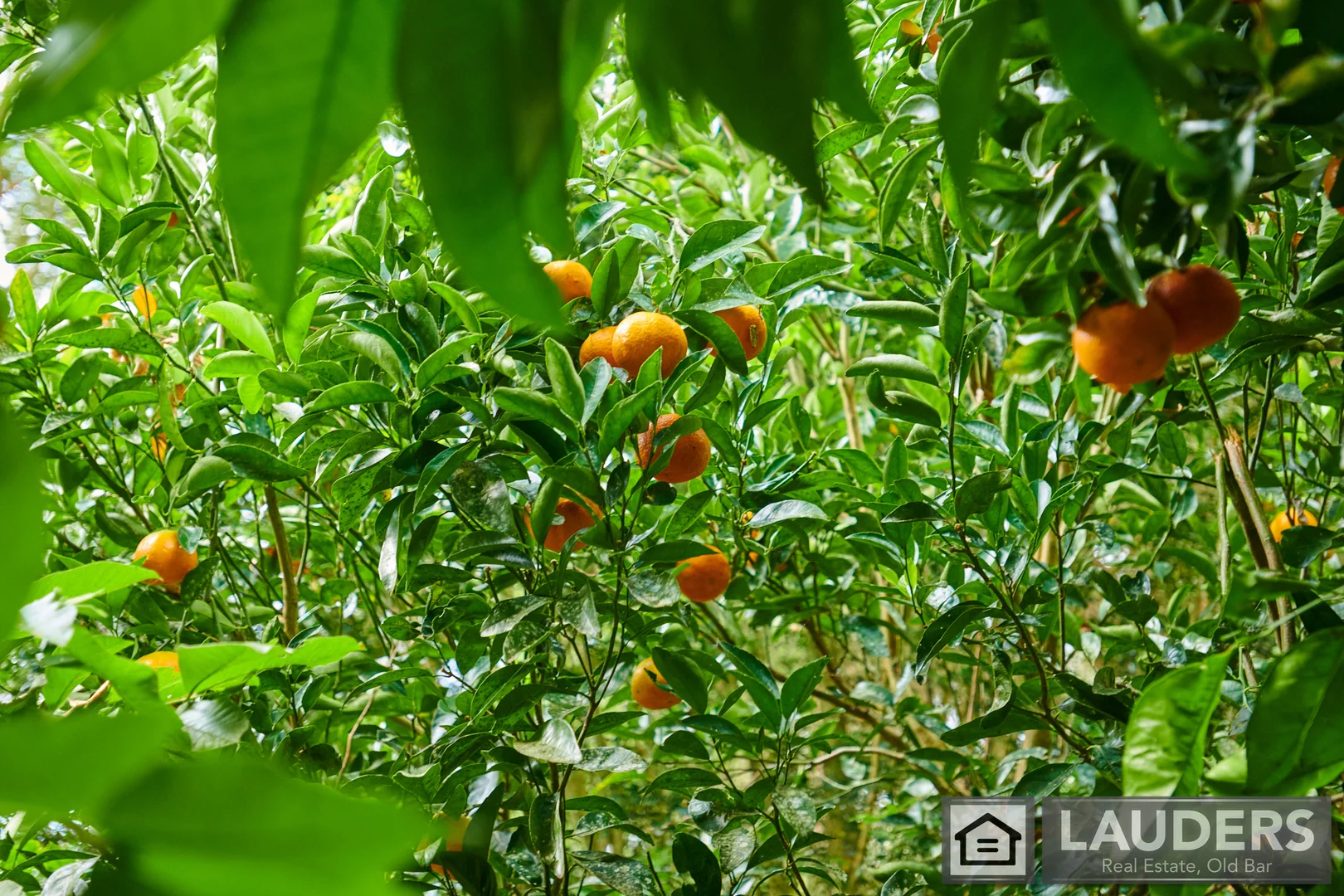 Additional image 27 of 2264 Bundook Road, Bundook NSW 2422